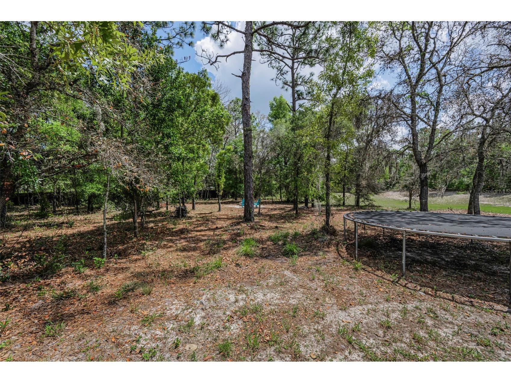 15747 Sago Drive Brooksville FL 34604 TB8494254 image79