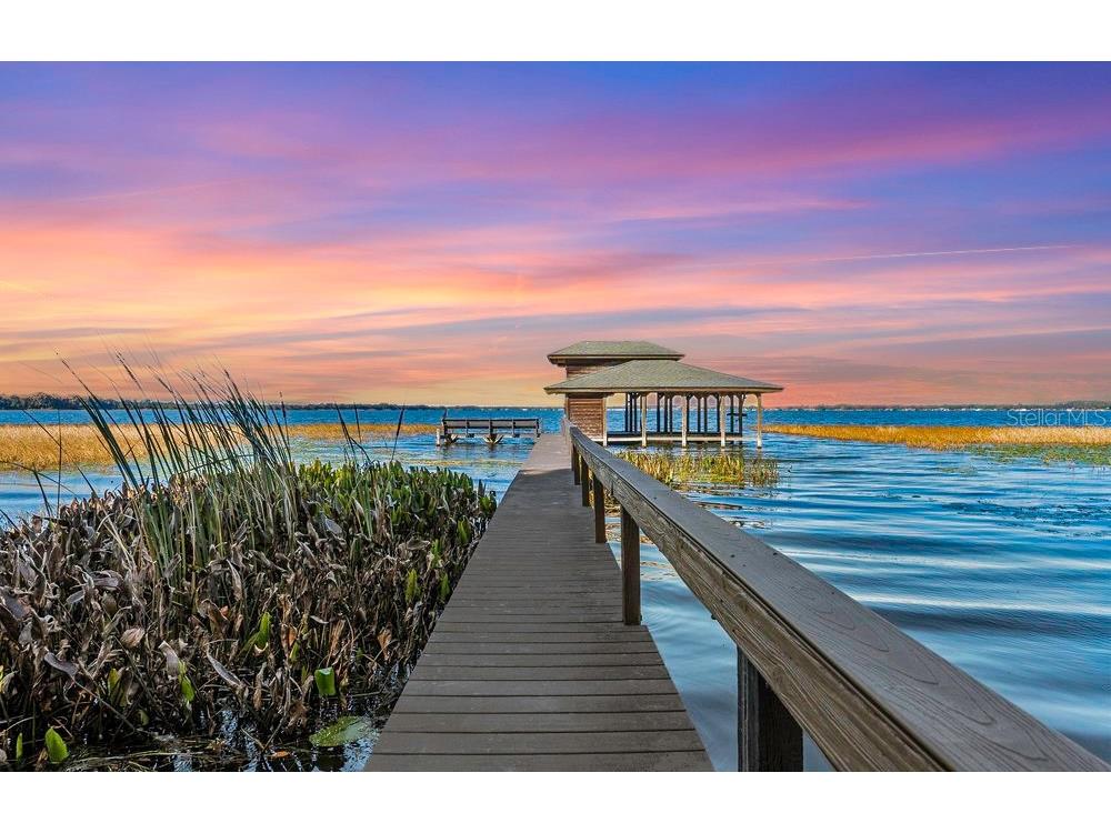 15749 Acorn Cir Tavares FL 32778 - LAKE DORA G5075847 image1