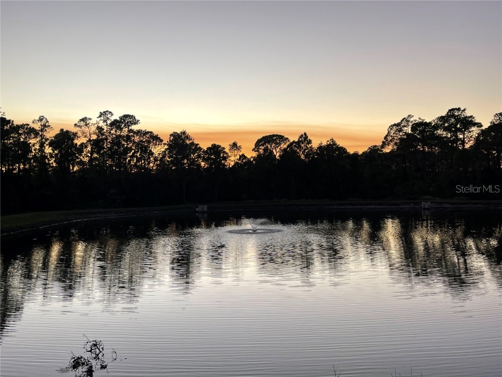 1575 Cumin Dr Kissimmee FL 34759 S5139221 image15