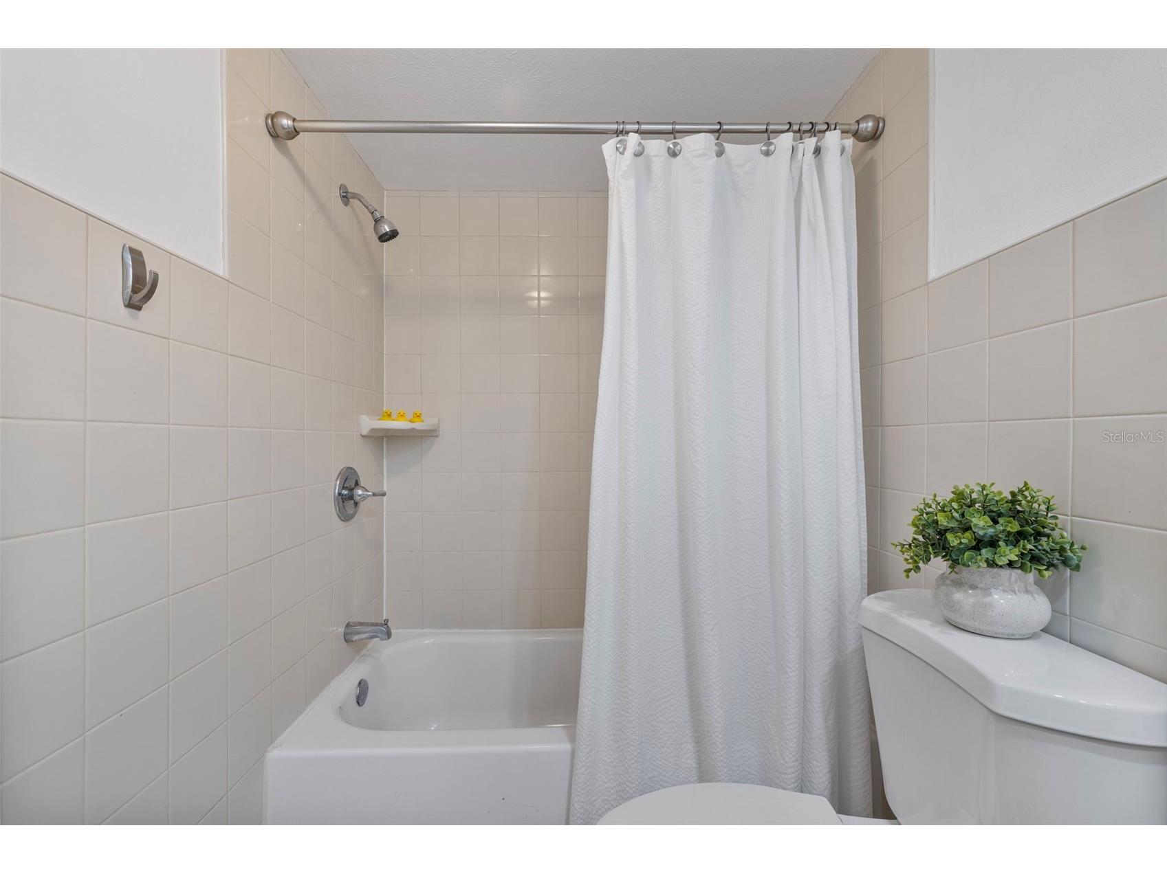 1575 Greenlea Drive #6 Clearwater FL 33755 TB8433856 image28