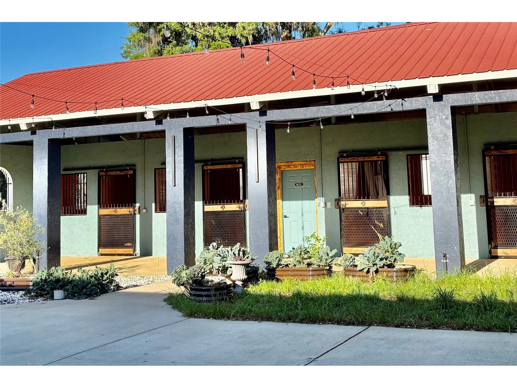 1575 NE 100th Street Anthony FL 32617 OM722273 image2