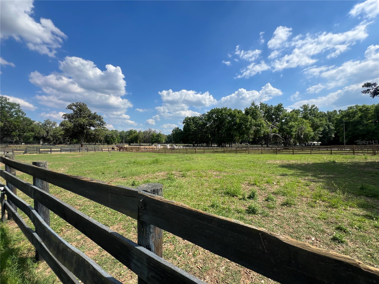 1575 NE 100th Street Anthony FL 32617 OM722273 image31