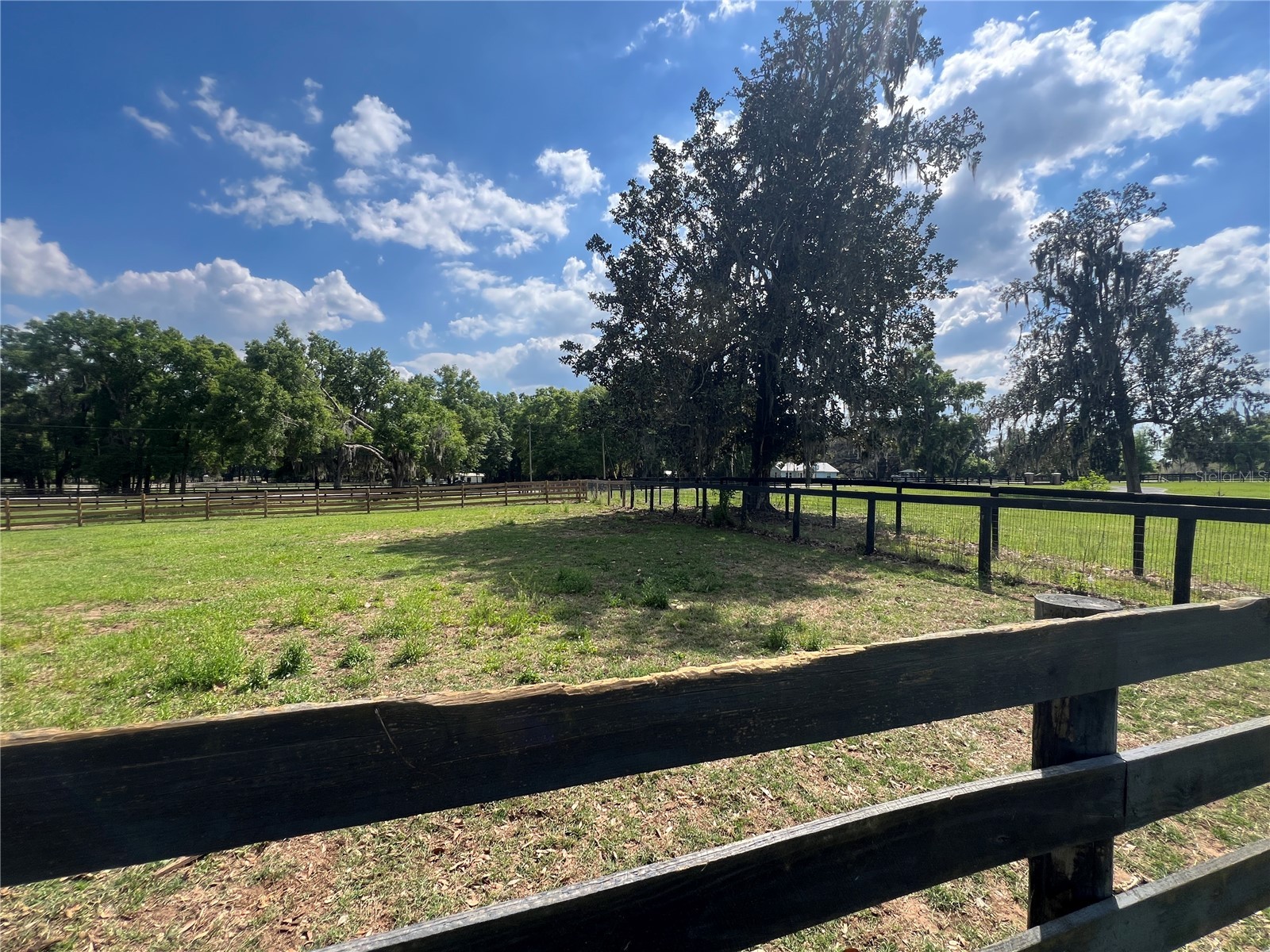 1575 NE 100th Street Anthony FL 32617 OM722273 image32