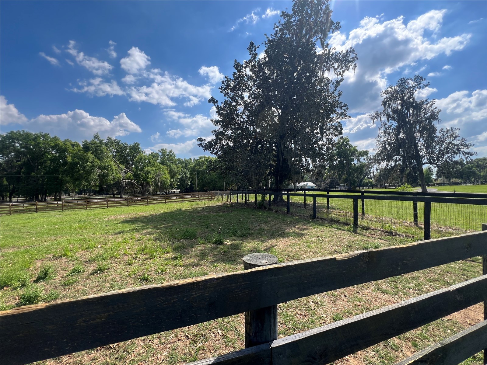 1575 NE 100th Street Anthony FL 32617 OM722273 image33