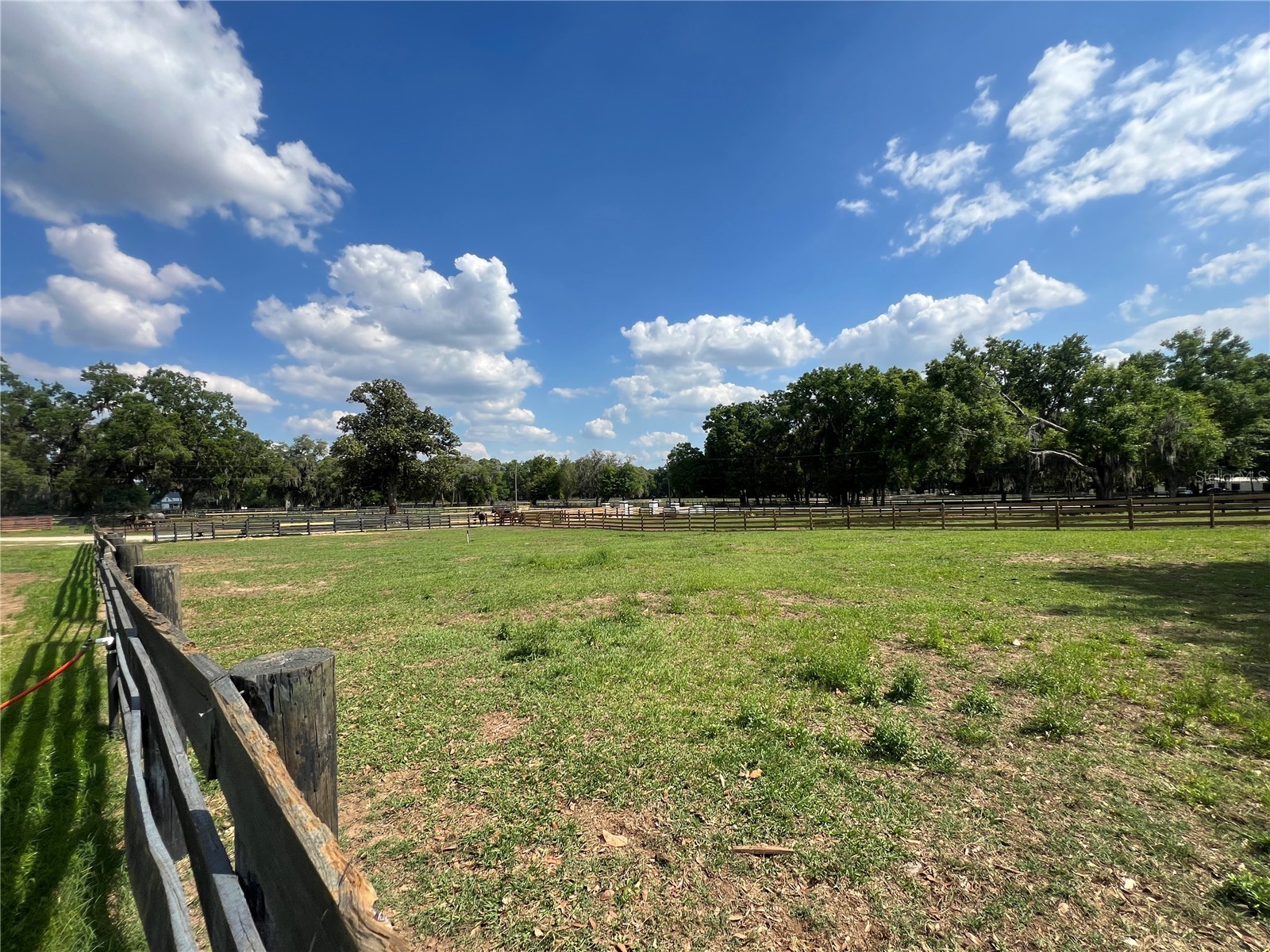 1575 NE 100th Street Anthony FL 32617 OM722273 image34