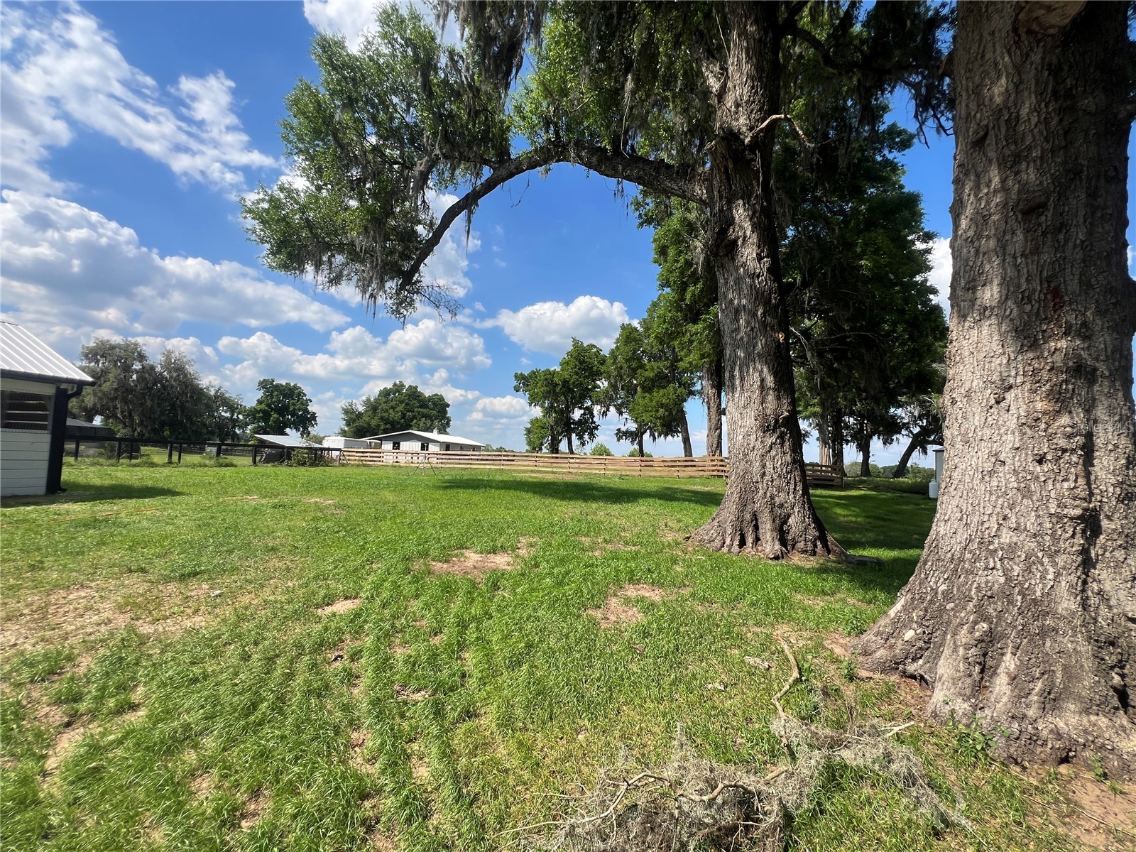 1575 NE 100th Street Anthony FL 32617 OM722273 image35