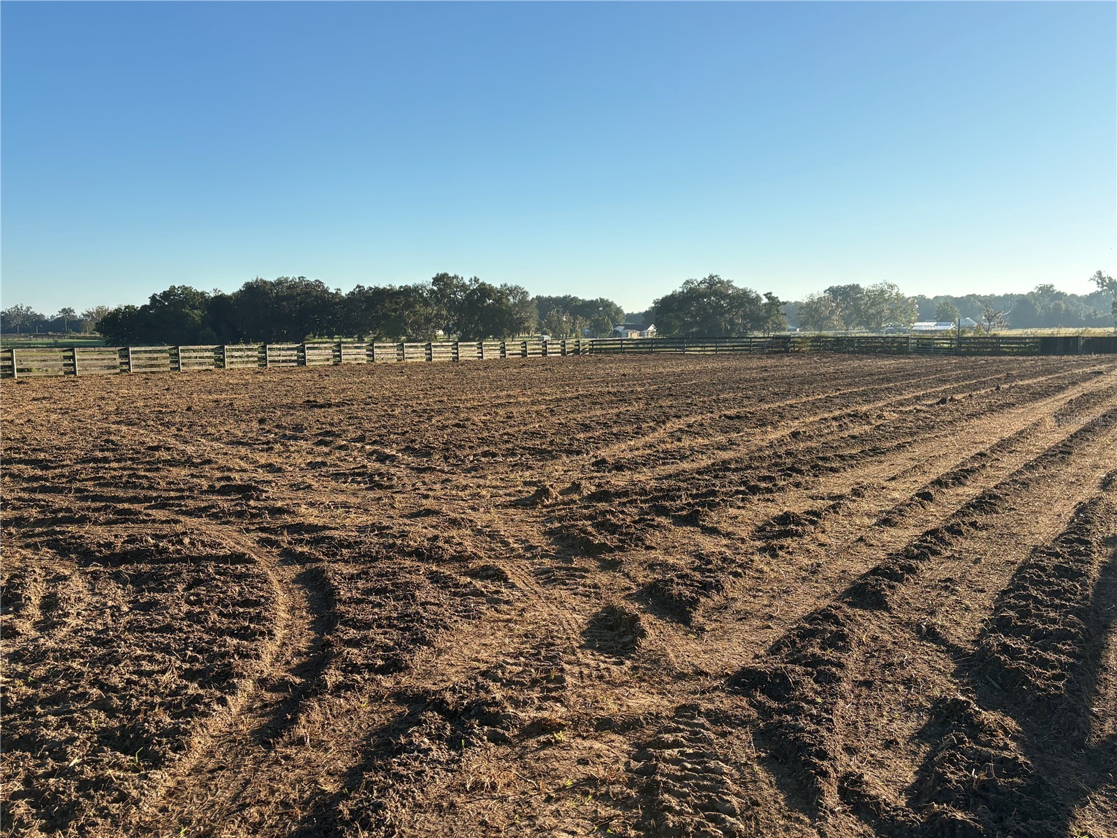 1575 NE 100th Street Anthony FL 32617 OM722273 image37