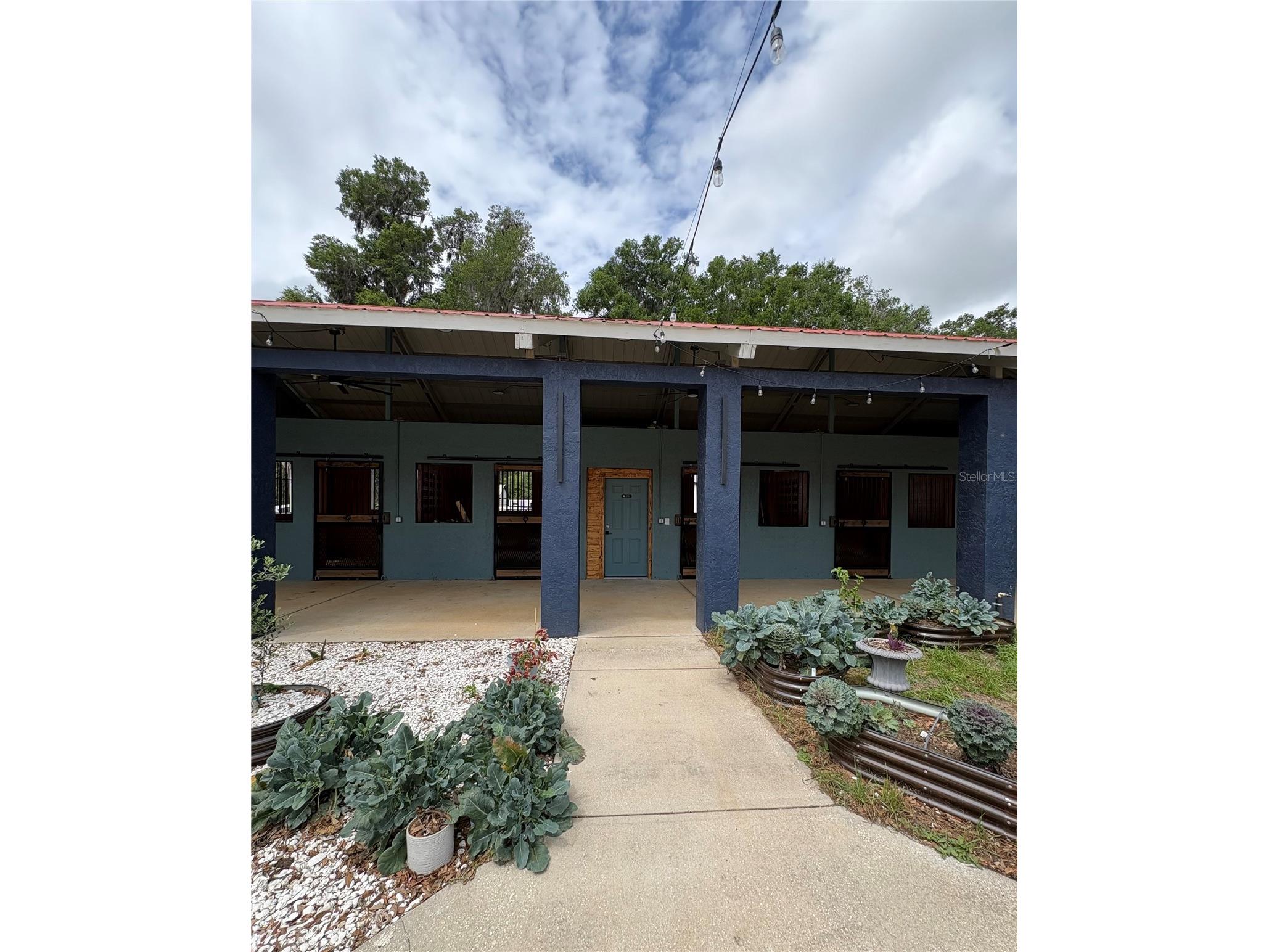 1575 NE 100th Street Anthony FL 32617 OM722273 image4