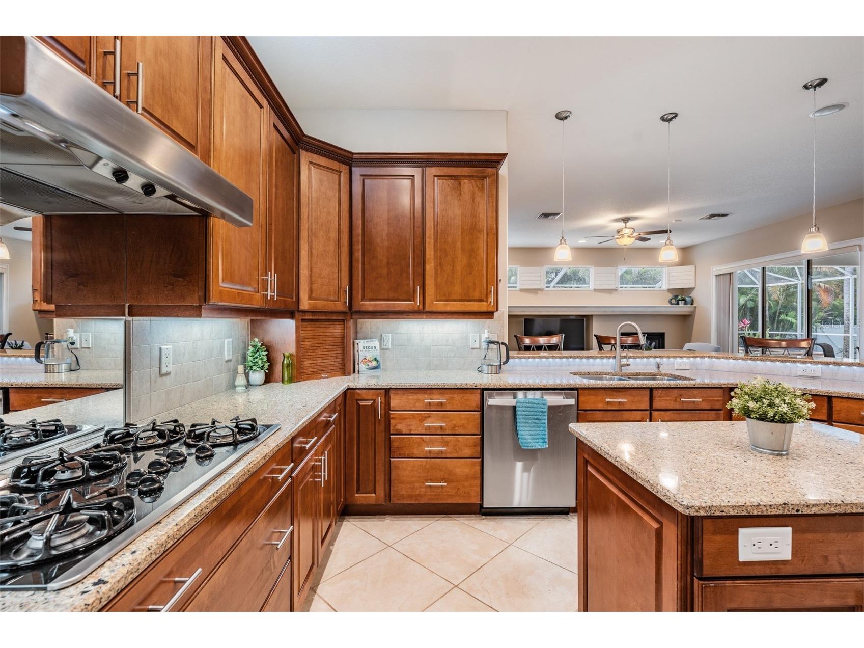 1575 Quail Drive Dunedin FL 34698 TB8502785 image16