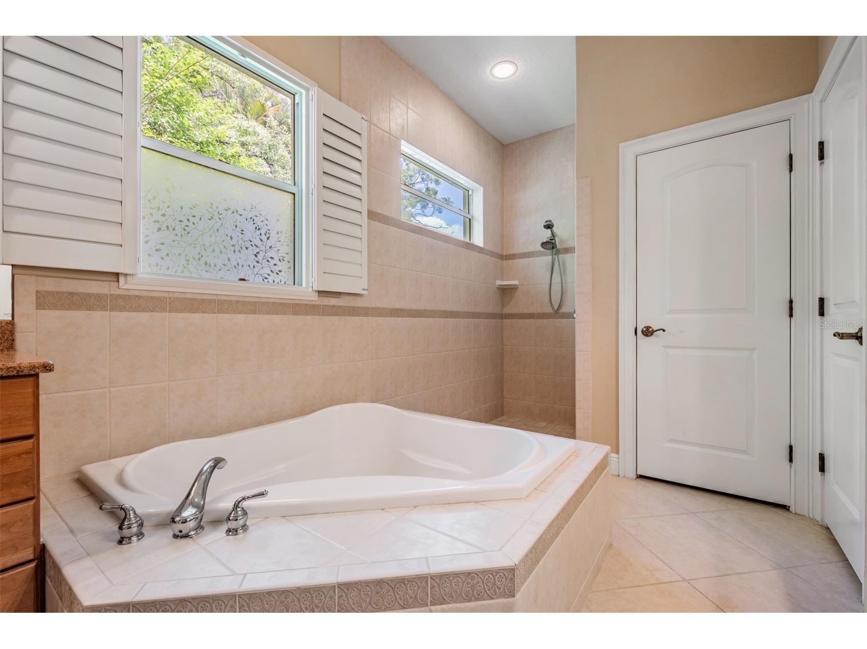 1575 Quail Drive Dunedin FL 34698 TB8502785 image27