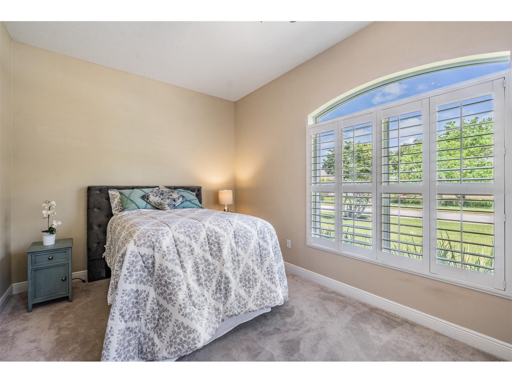 1575 Quail Drive Dunedin FL 34698 TB8502785 image28