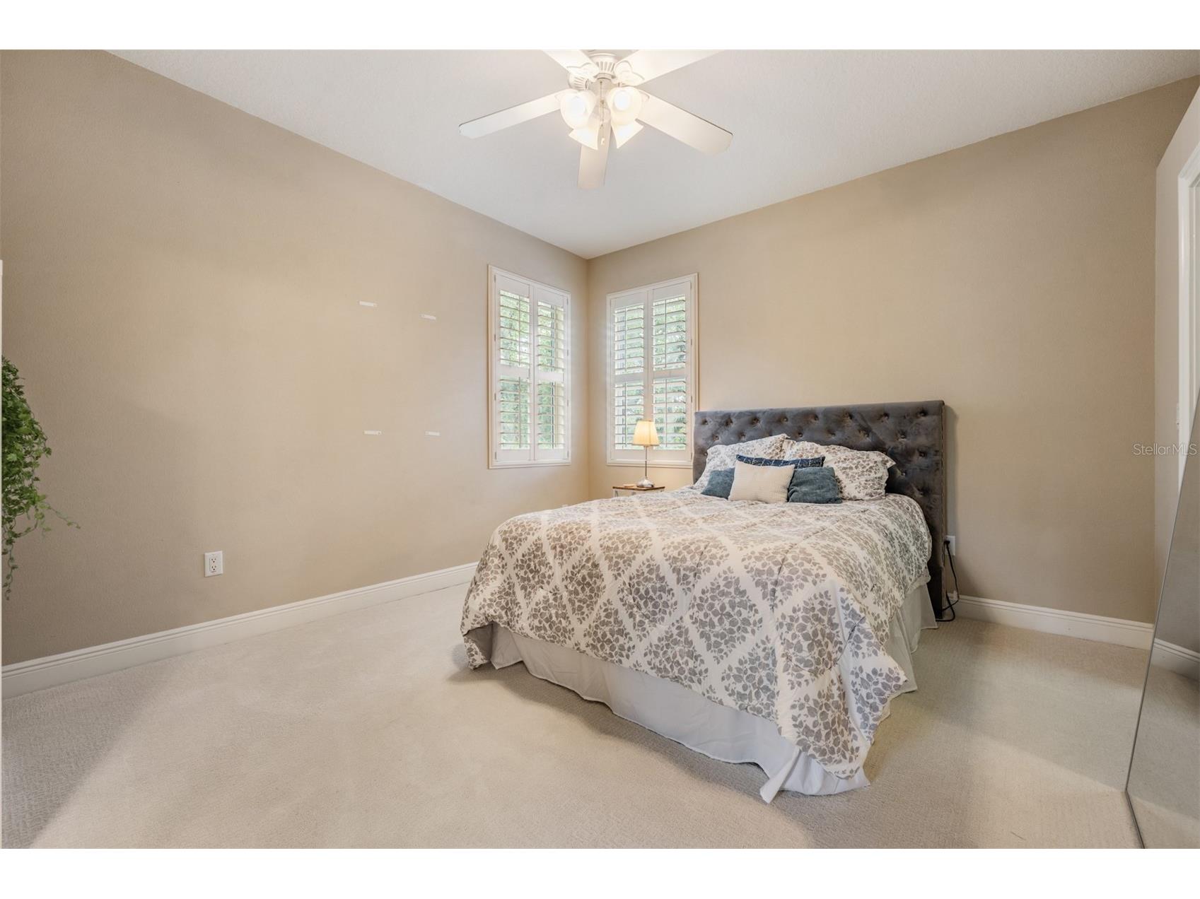 1575 Quail Drive Dunedin FL 34698 TB8502785 image36