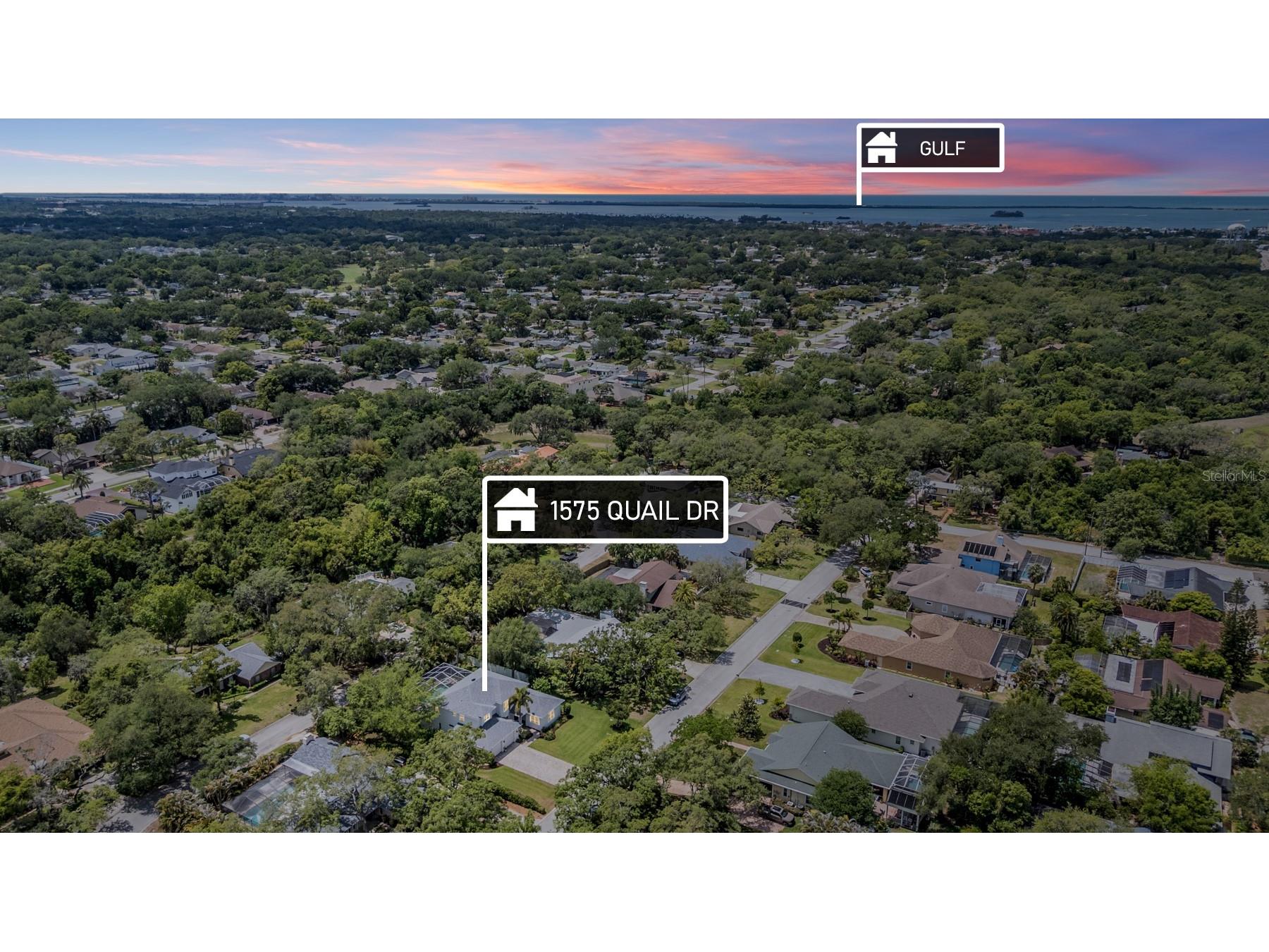 1575 Quail Drive Dunedin FL 34698 TB8502785 image50