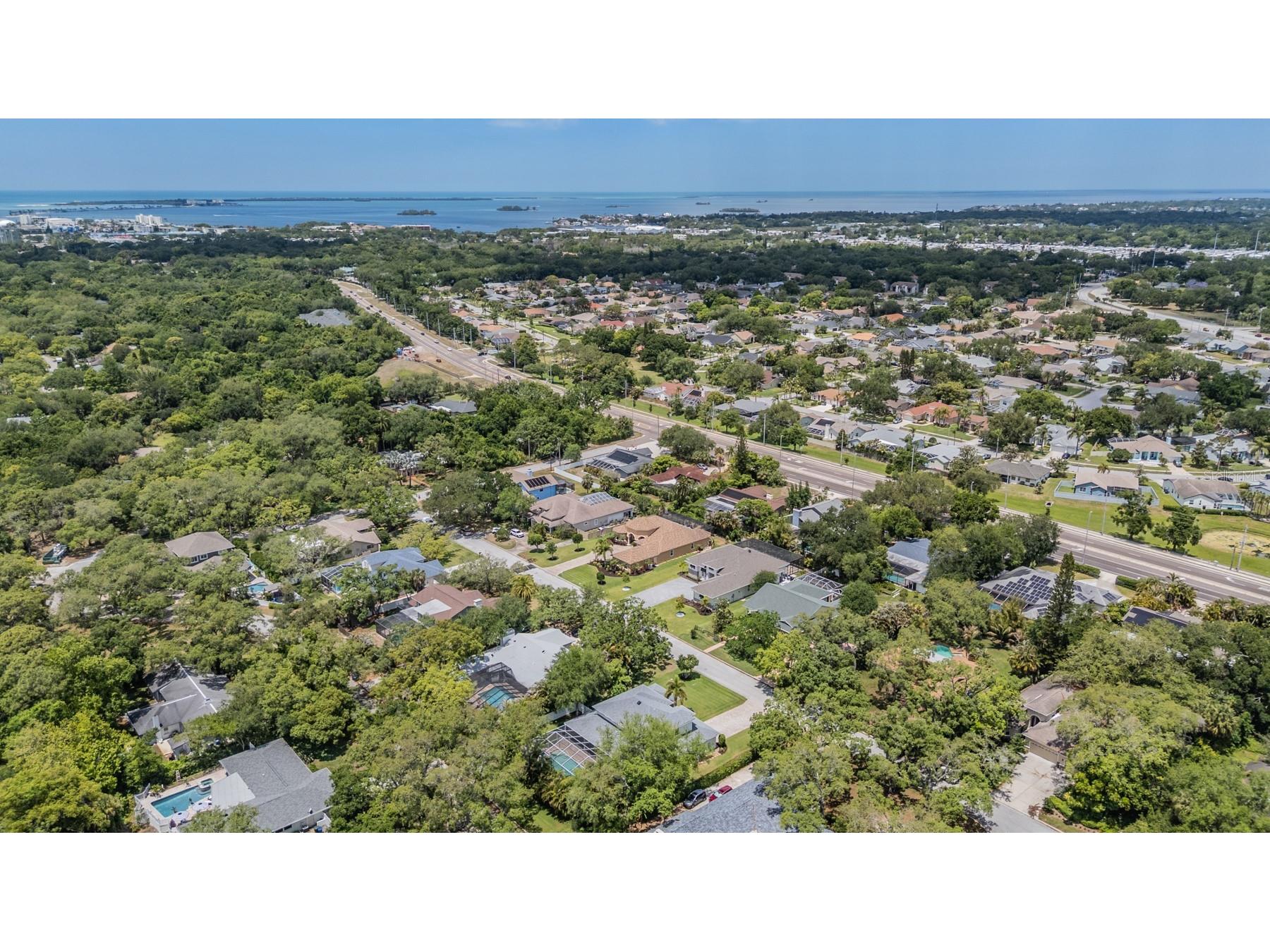 1575 Quail Drive Dunedin FL 34698 TB8502785 image56