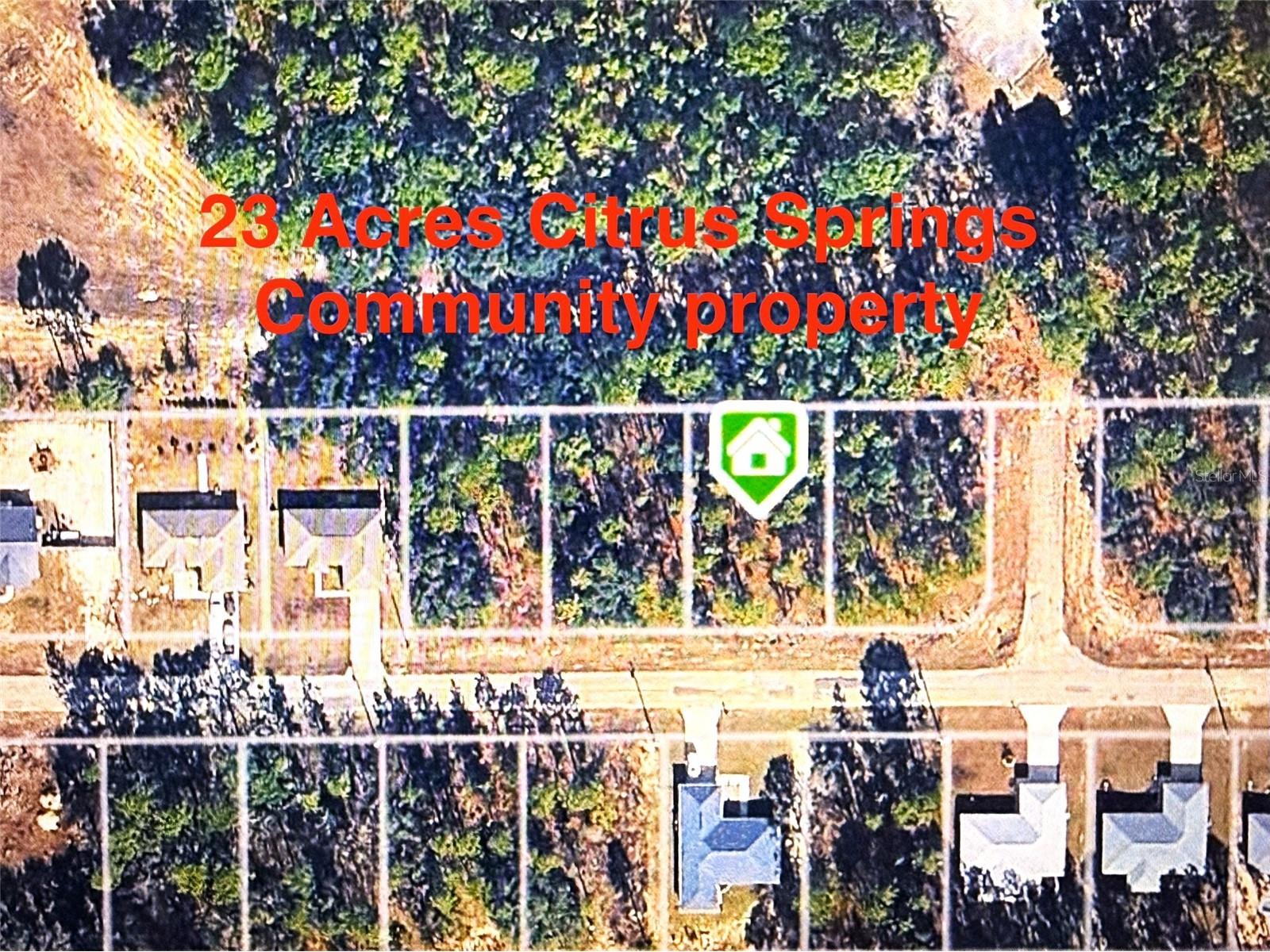 1575 W Lamplighter Street Citrus Springs FL 34434 OM714305 image7