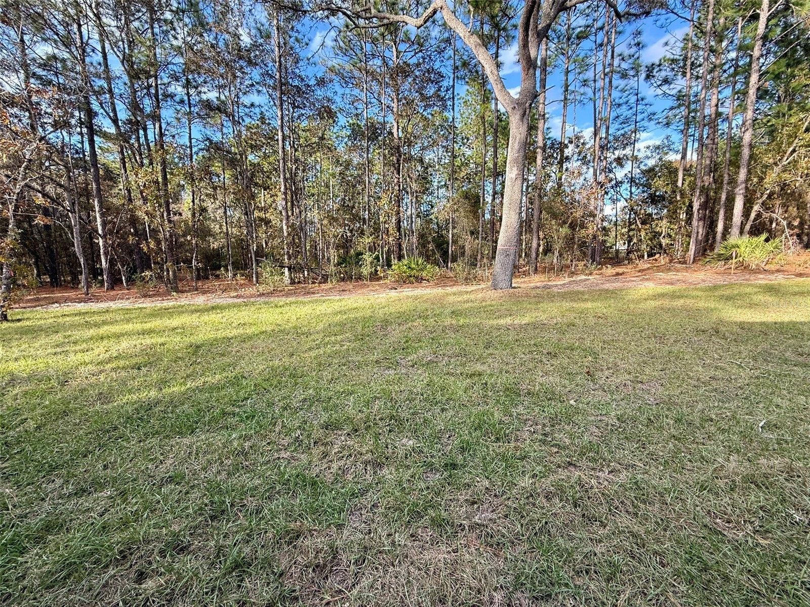 1575 W Lamplighter Street Citrus Springs FL 34434 OM714305 image8