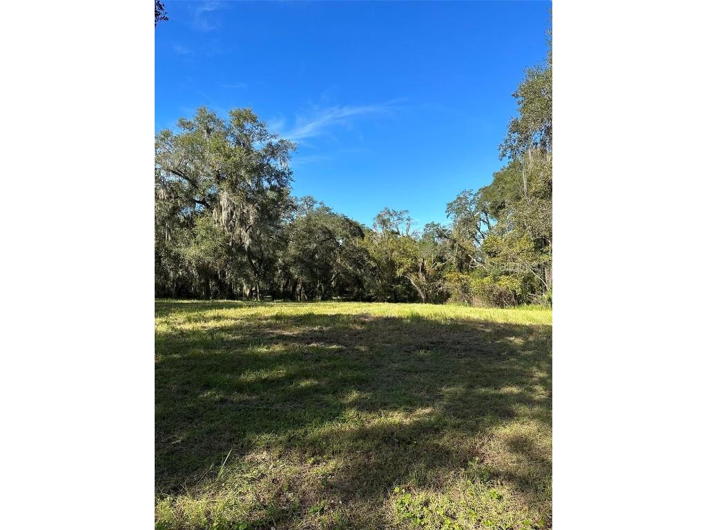 1575 Weaver Oak Way Deland FL 32720 V4933246 image1