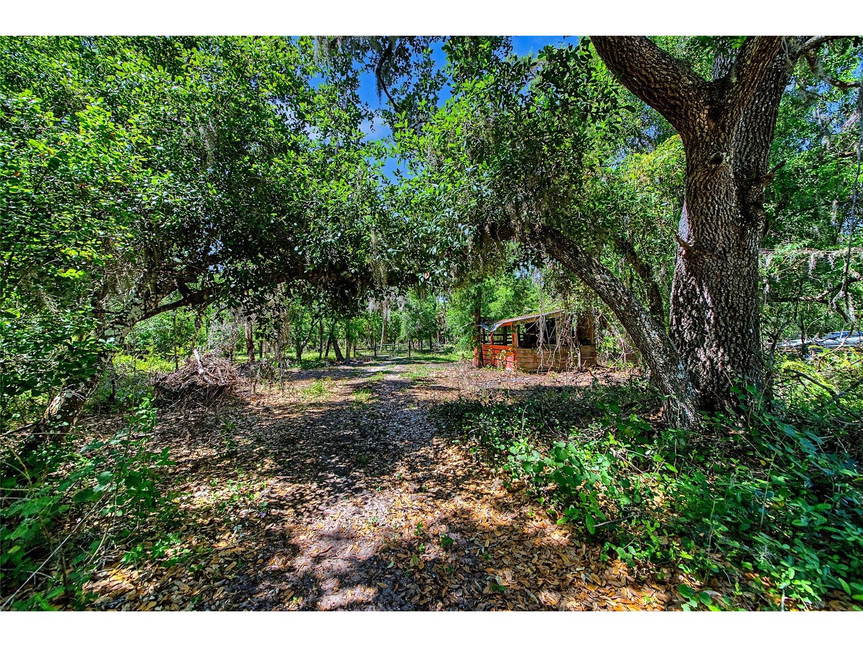15750 Wilson Road Sarasota FL 34240 A4690434 image13