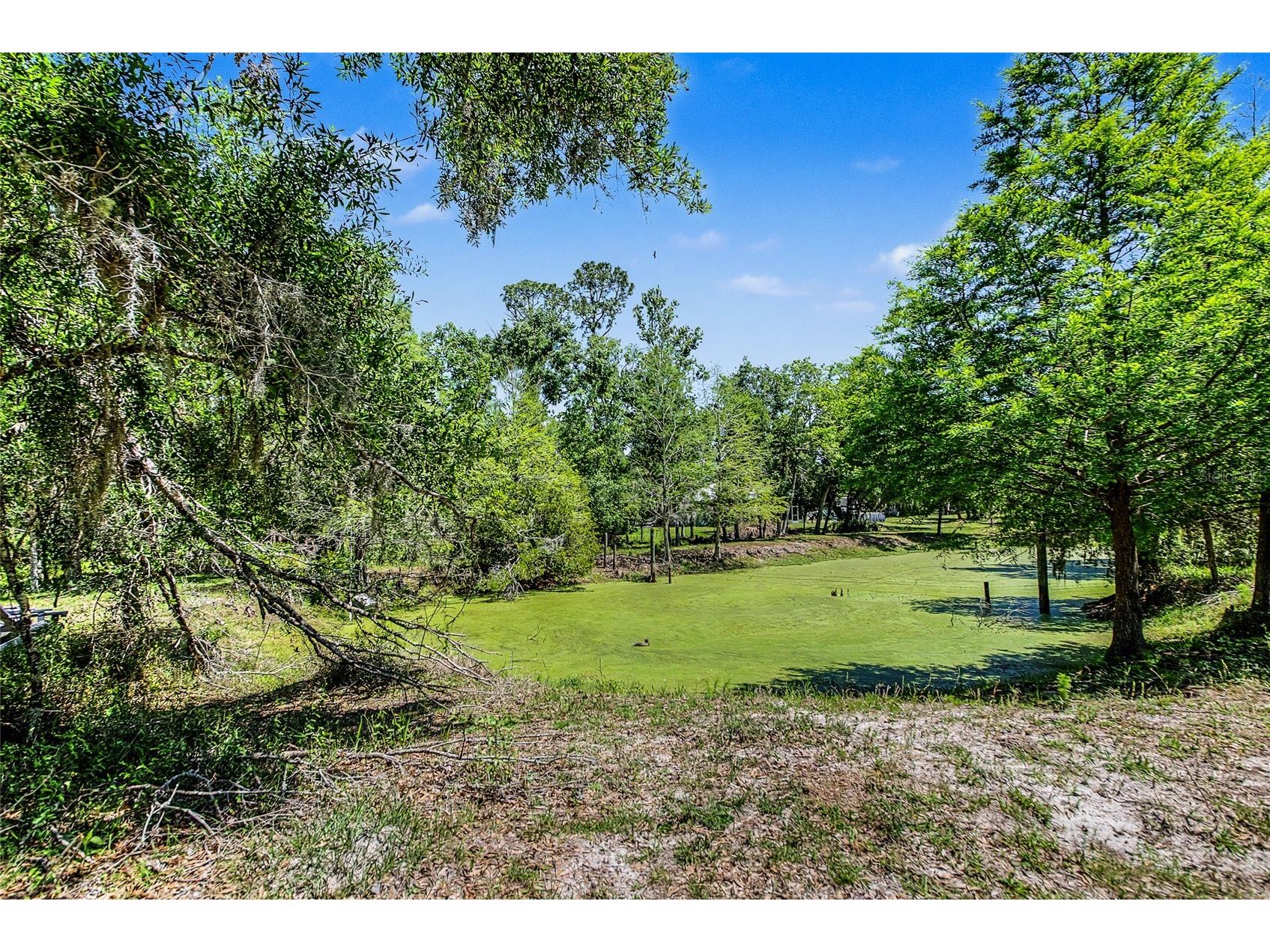 15750 Wilson Road Sarasota FL 34240 A4690434 image15
