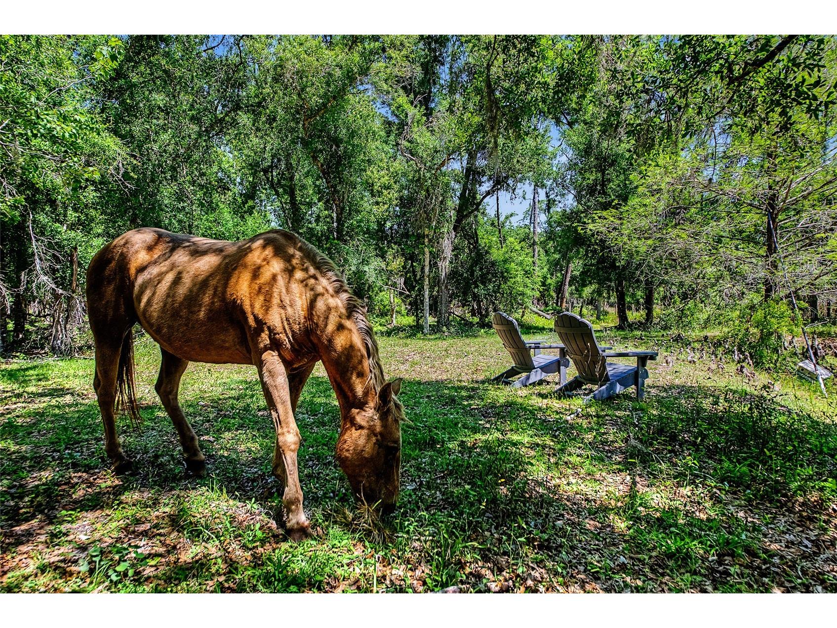 15750 Wilson Road Sarasota FL 34240 A4690434 image21