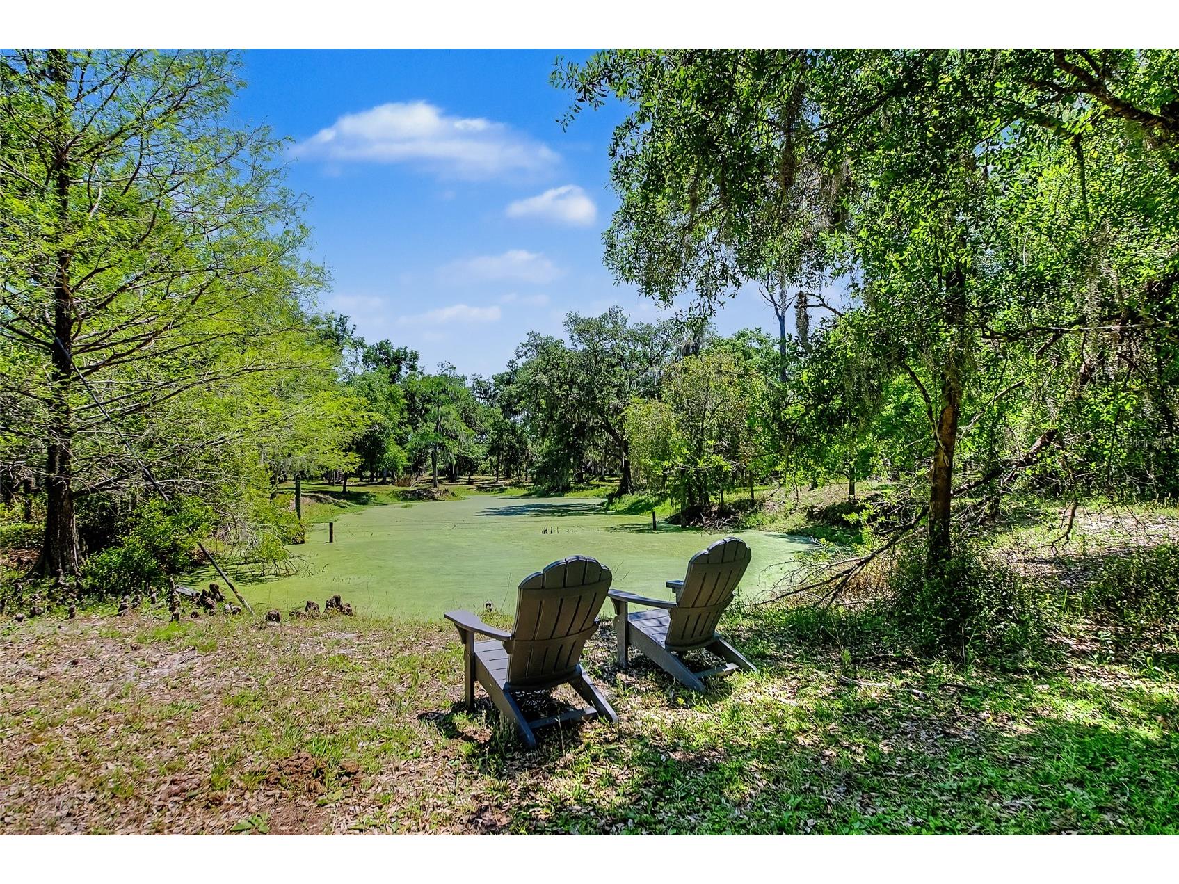 15750 Wilson Road Sarasota FL 34240 A4690434 image36