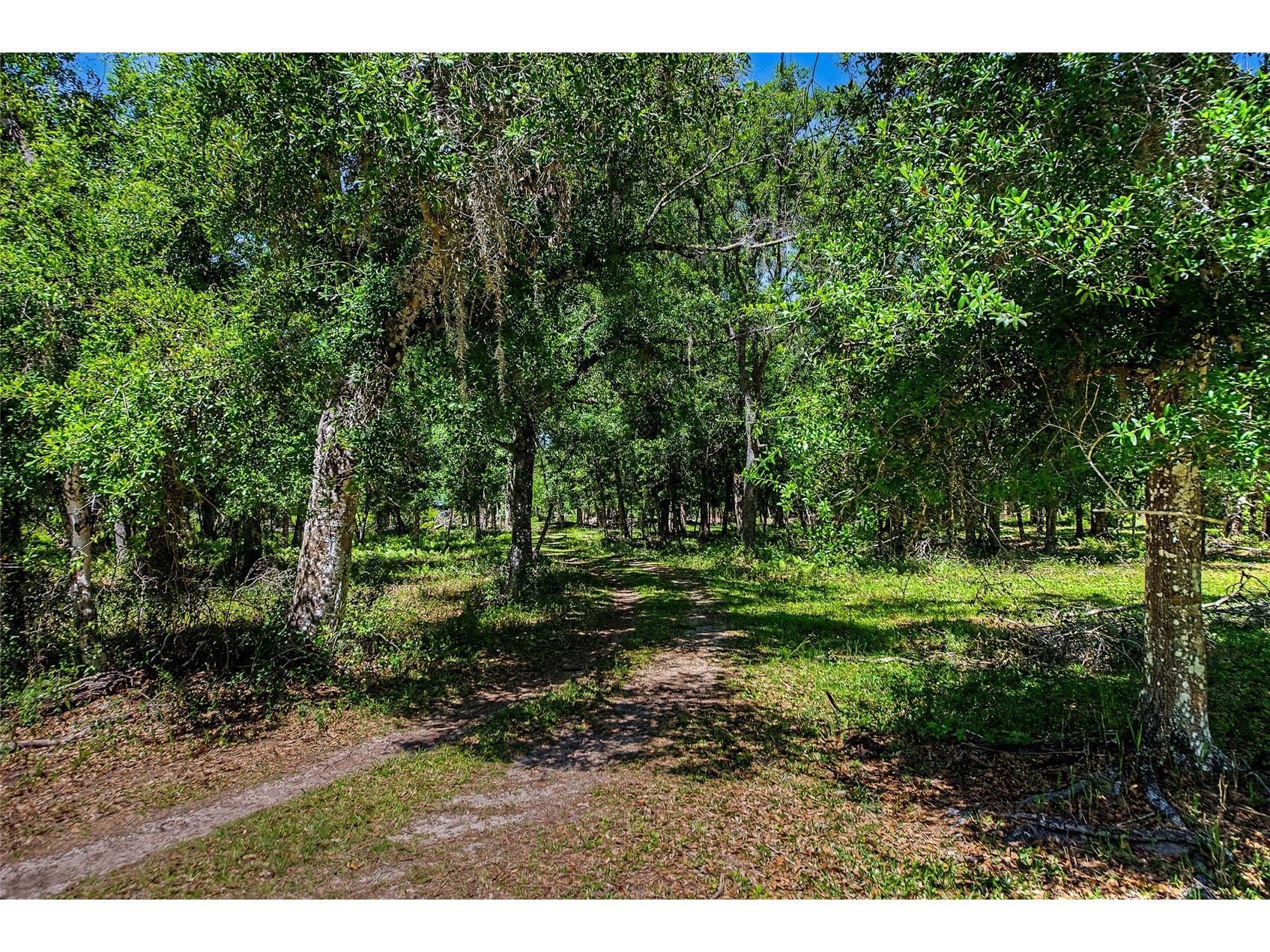 15750 Wilson Road Sarasota FL 34240 A4690434 image41