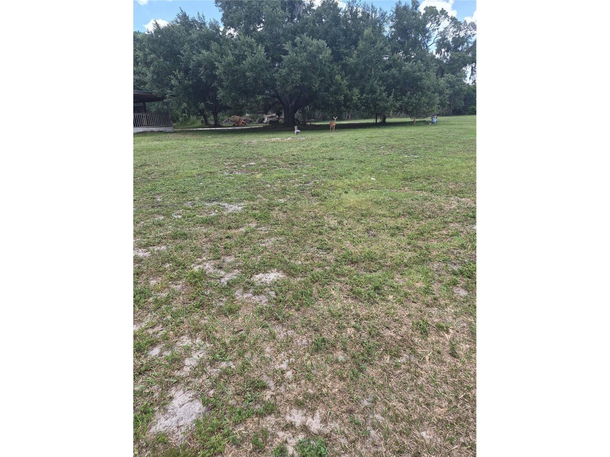 15750 Wilson Road Sarasota FL 34240 A4690434 image44