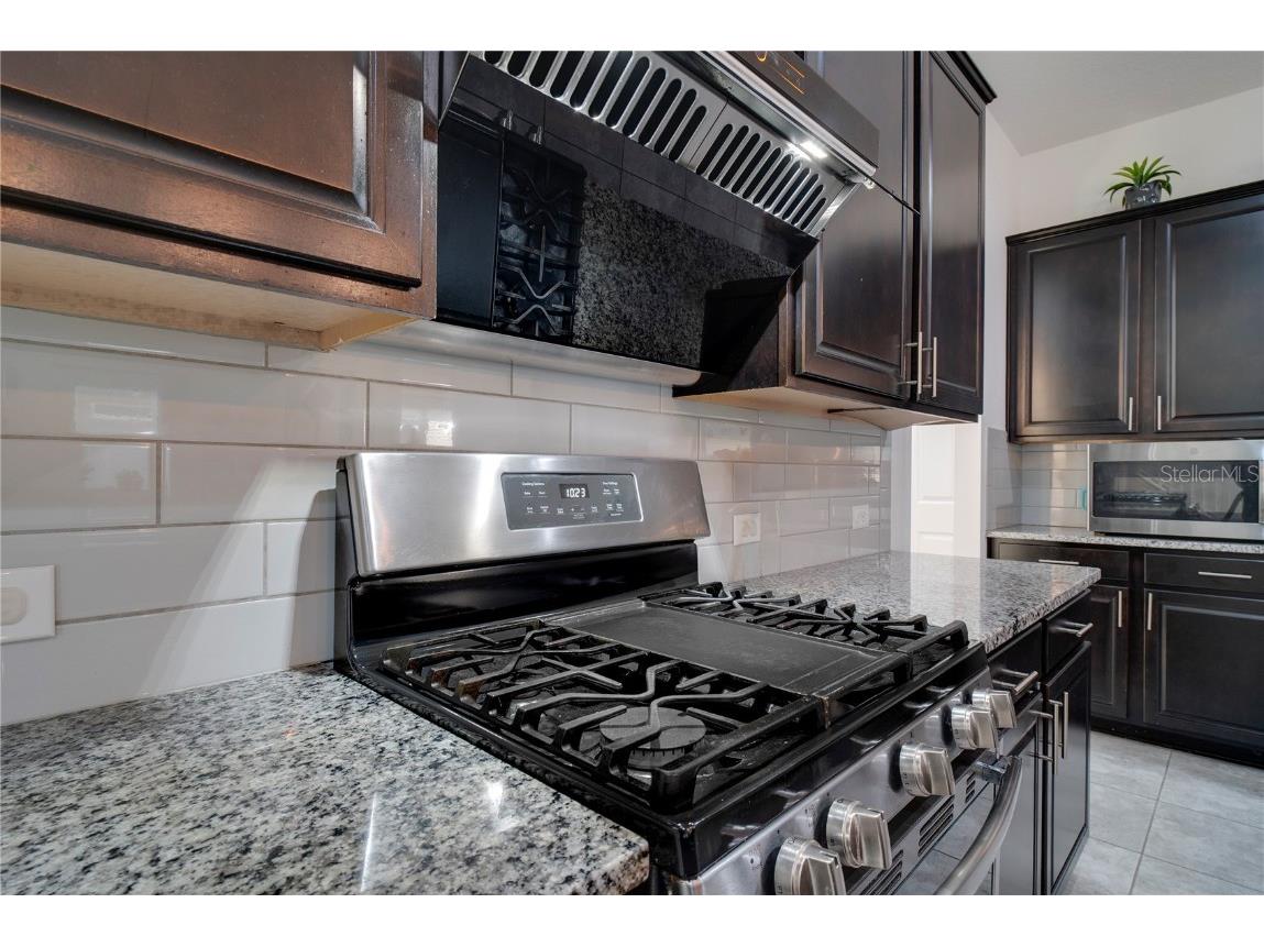 15755 Sweet Limetta Drive Winter Garden FL 34787 O6370049 image15