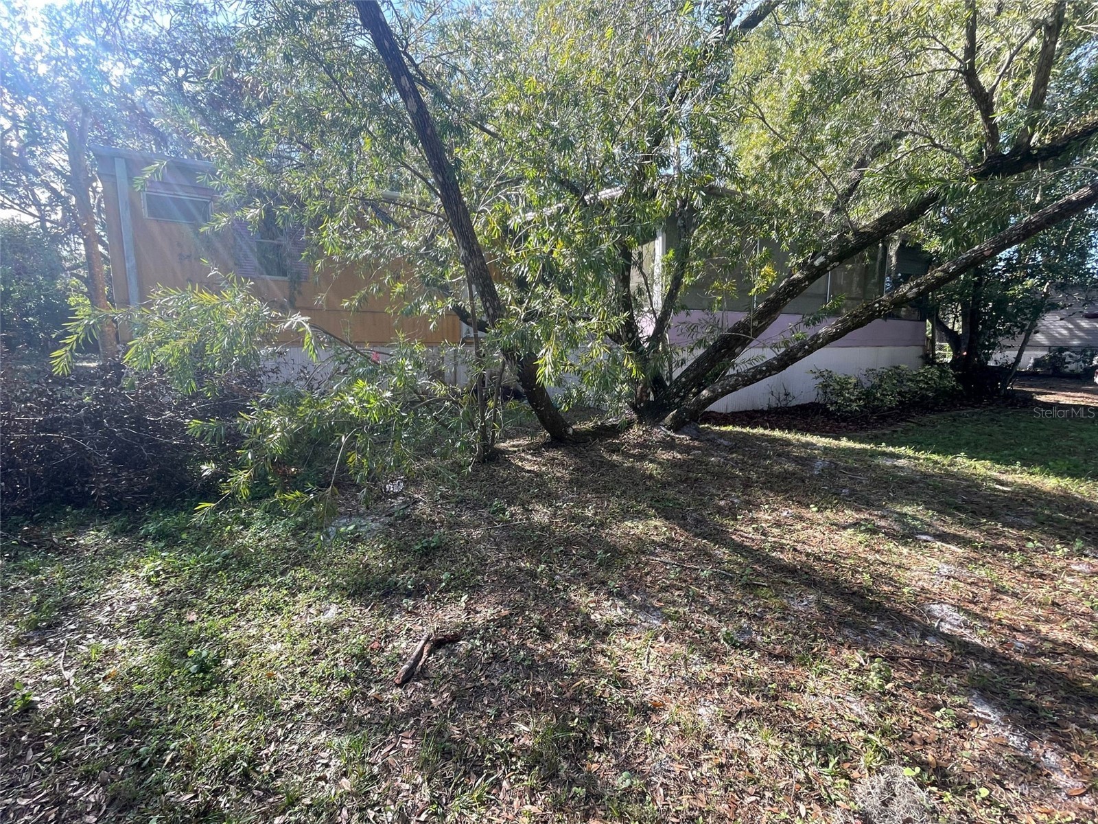 15756 Trigonia Street Orlando FL 32828 O6363843 image10