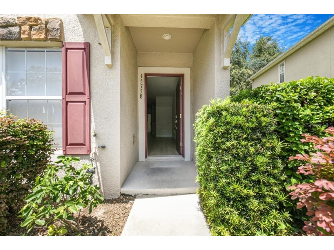 15758 Fishhawk Falls Drive Lithia FL 33547 TB8419256 image1