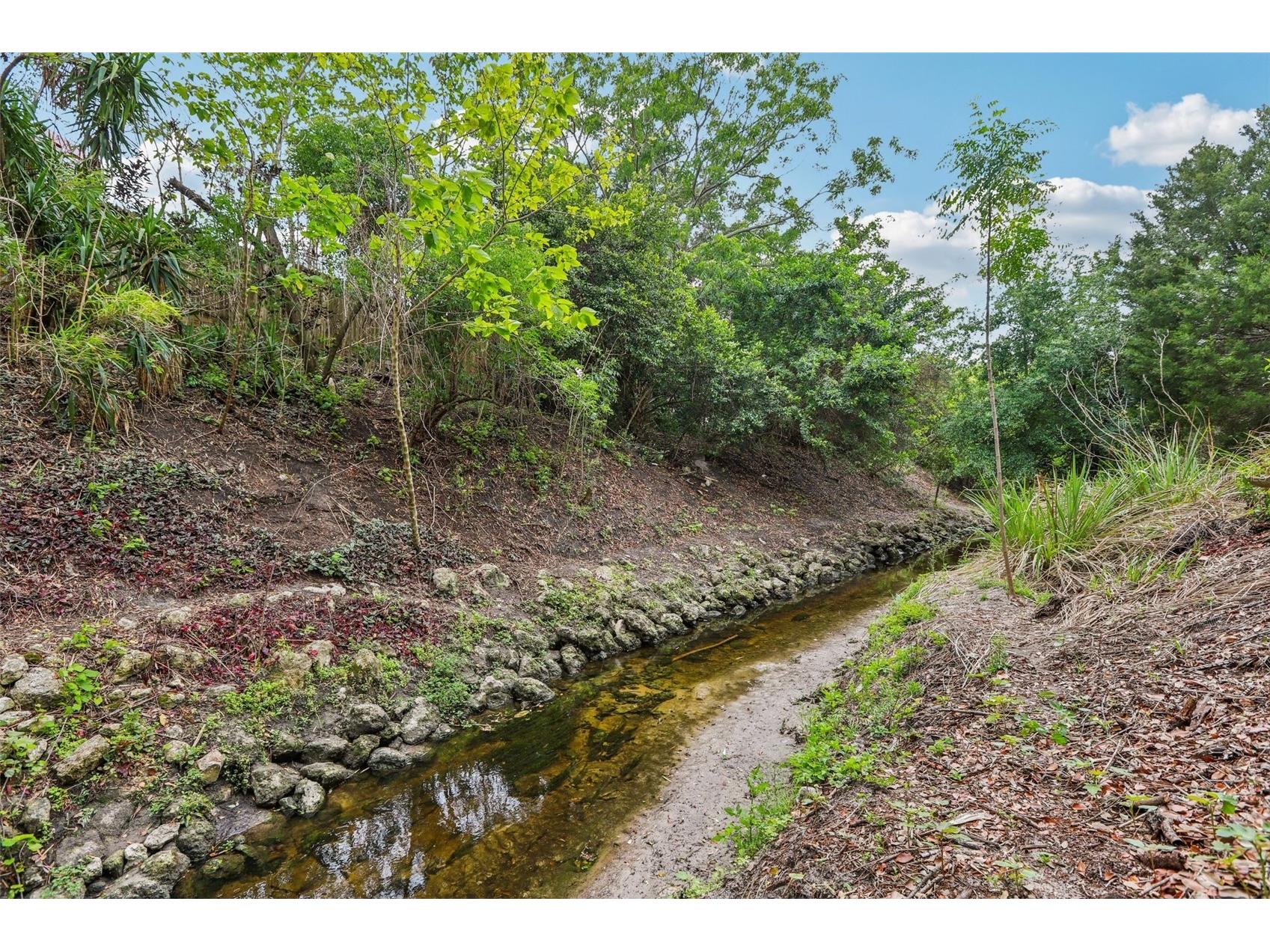 1576 Ohio Avenue Palm Harbor FL 34683 - BEE CREEK TB8494575 image39