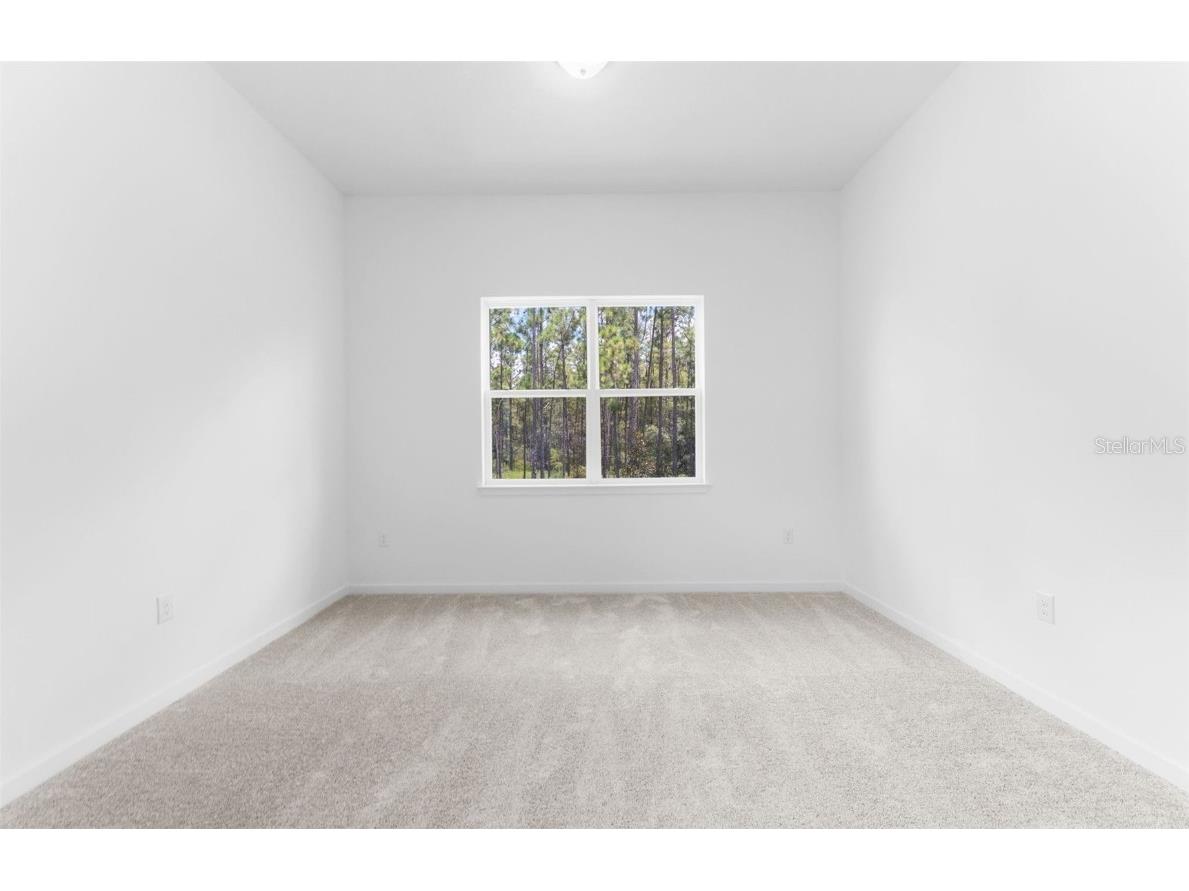 1576 Valier Point Zephyrhills FL 33541 TB8393078 image9