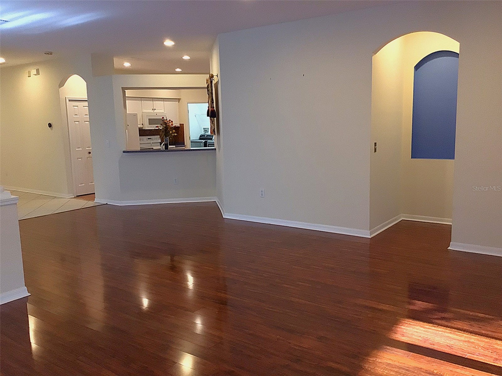 15762 Cedar Elm Terrace Land O Lakes FL 34638 TB8398219 image15