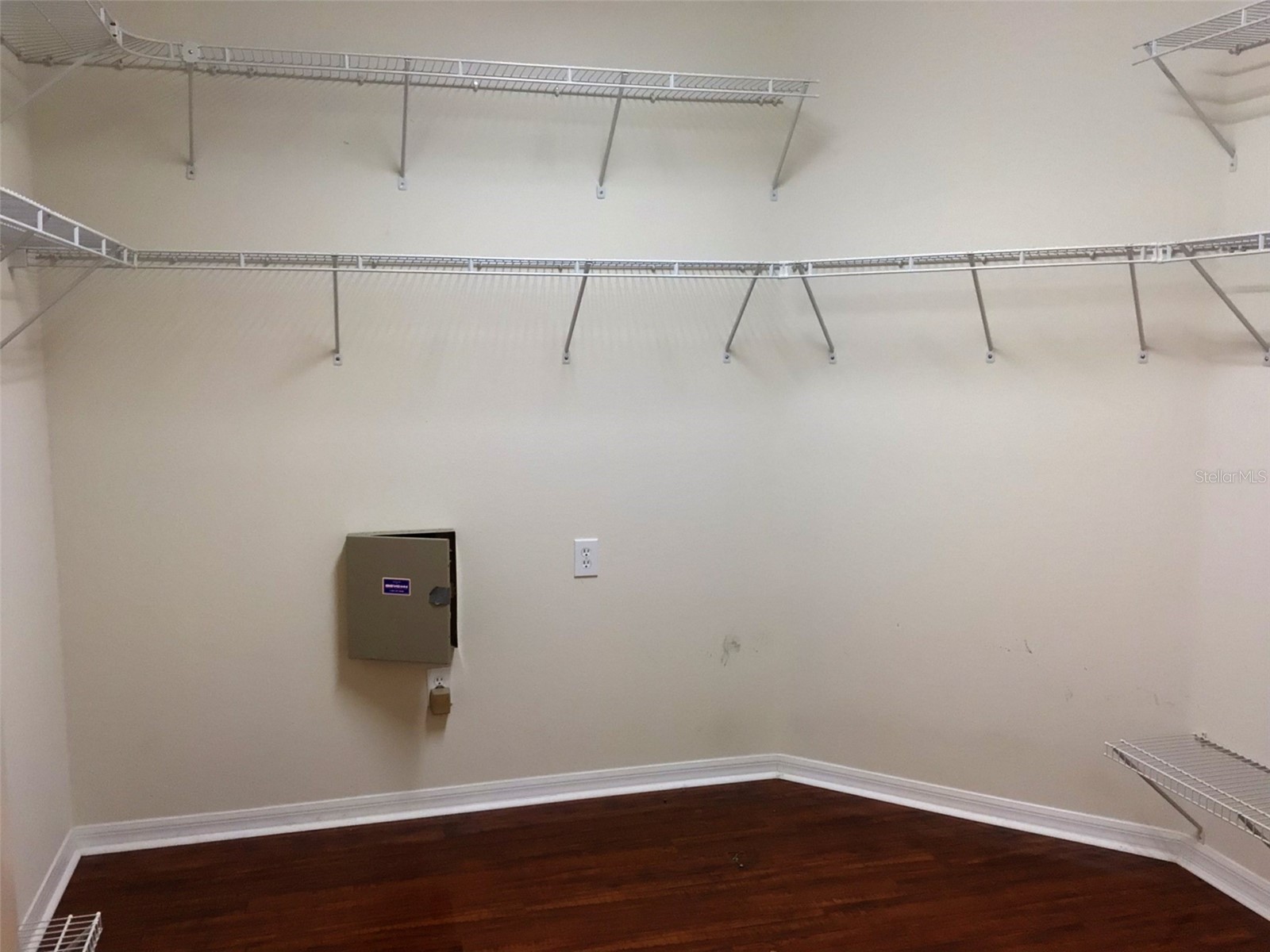 15762 Cedar Elm Terrace Land O Lakes FL 34638 TB8398219 image18