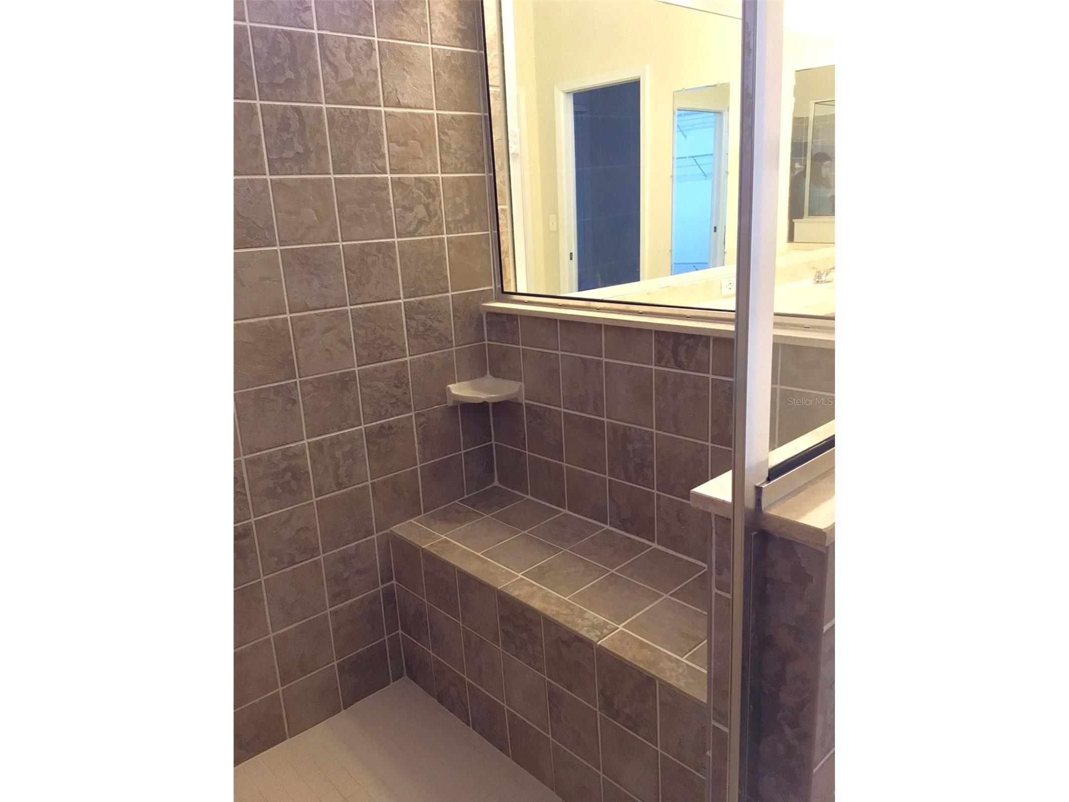 15762 Cedar Elm Terrace Land O Lakes FL 34638 TB8398219 image20