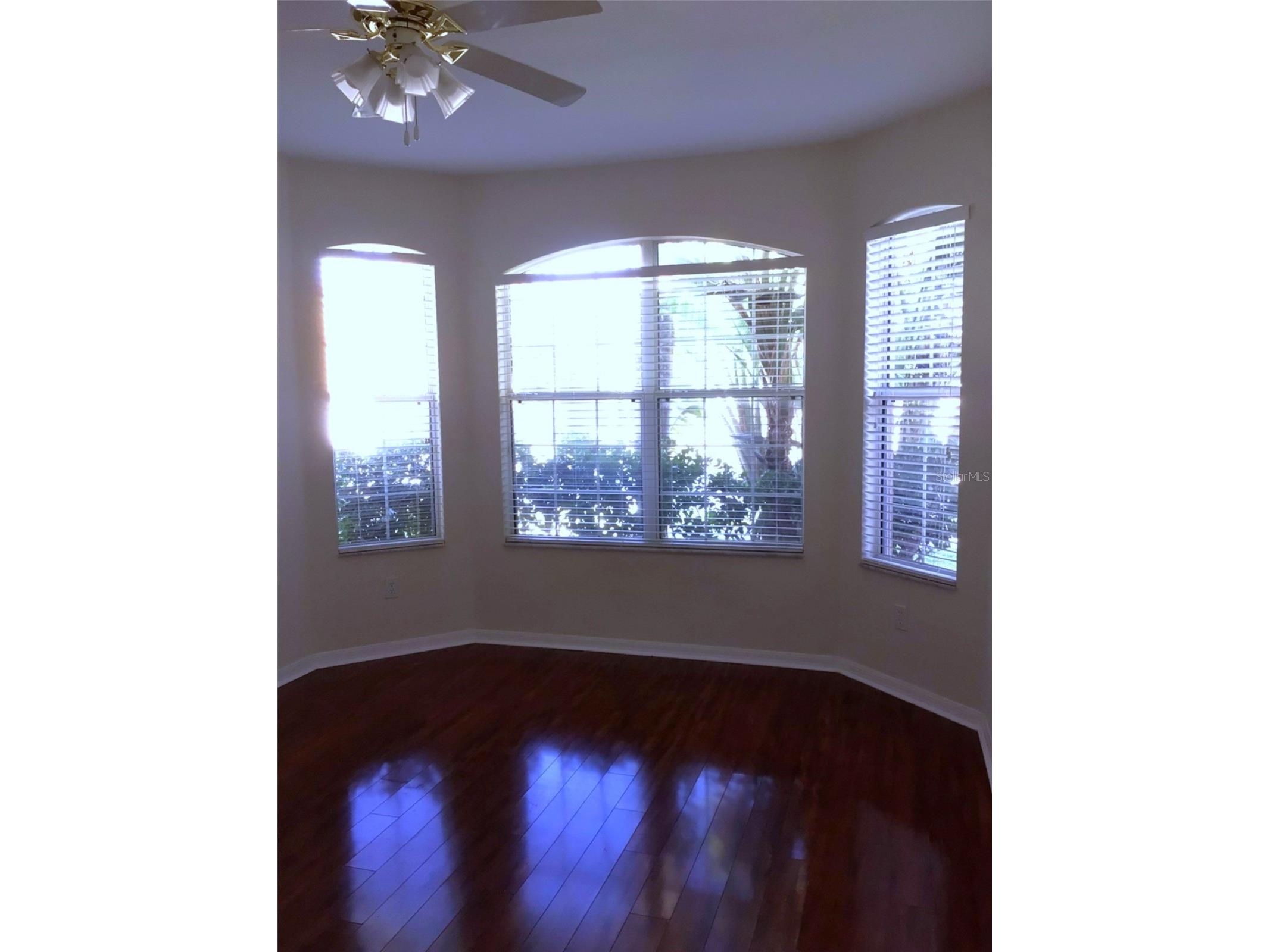 15762 Cedar Elm Terrace Land O Lakes FL 34638 TB8398219 image22