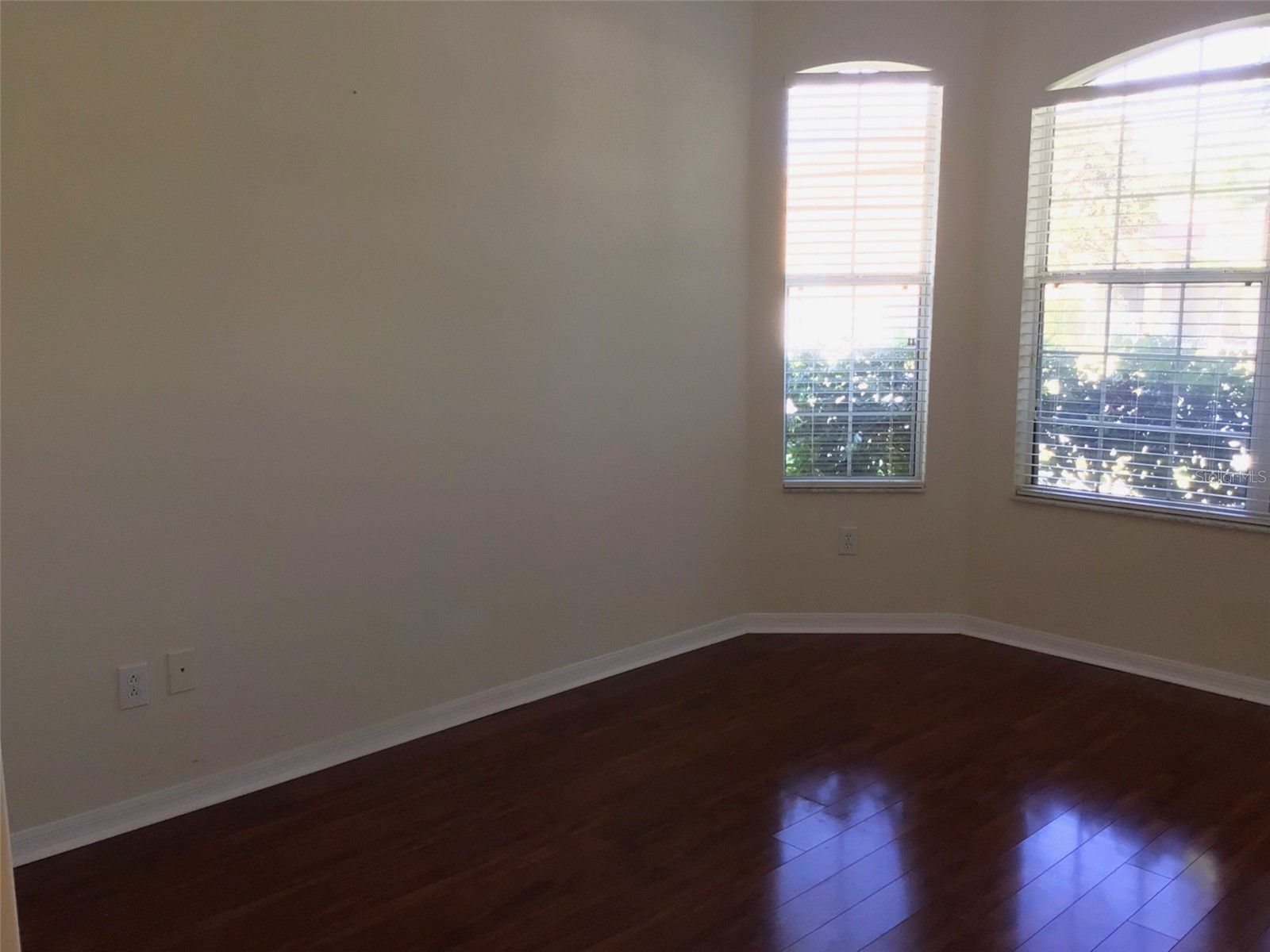 15762 Cedar Elm Terrace Land O Lakes FL 34638 TB8398219 image23