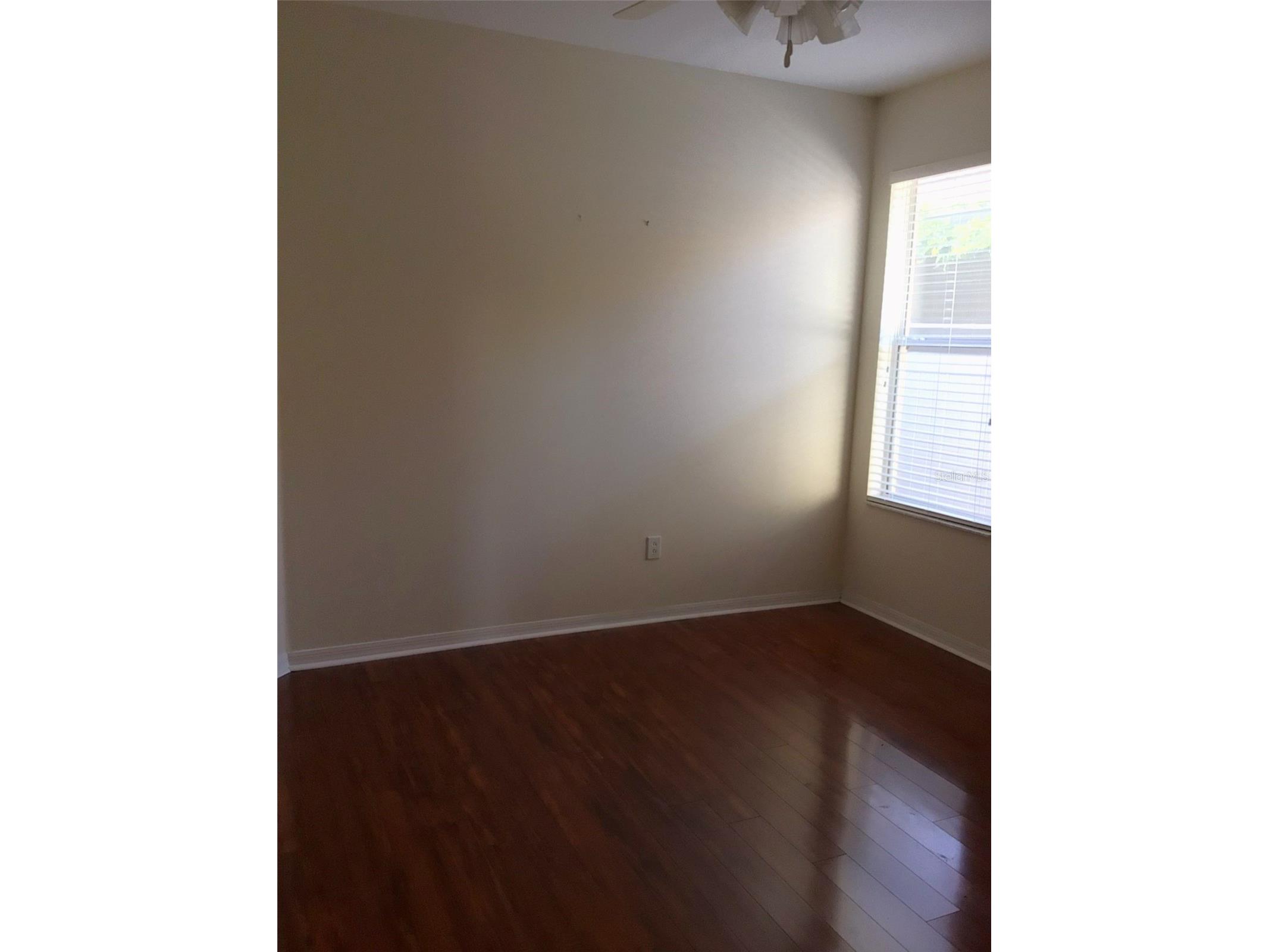 15762 Cedar Elm Terrace Land O Lakes FL 34638 TB8398219 image28