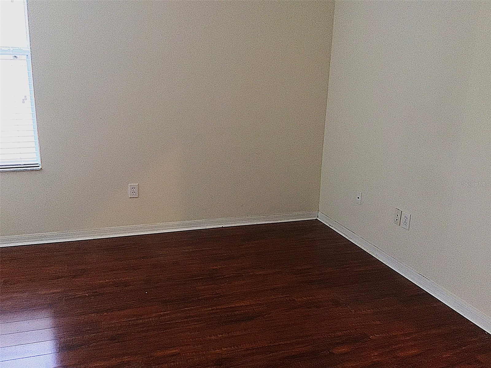 15762 Cedar Elm Terrace Land O Lakes FL 34638 TB8398219 image29