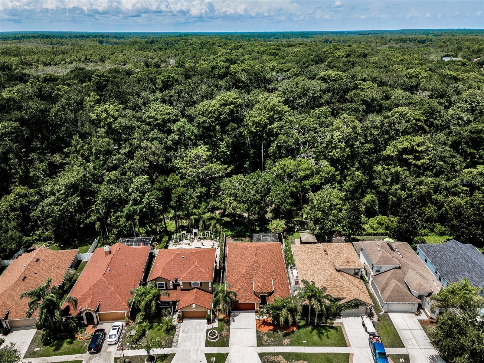 15762 Cedar Elm Terrace Land O Lakes FL 34638 TB8398219 image3