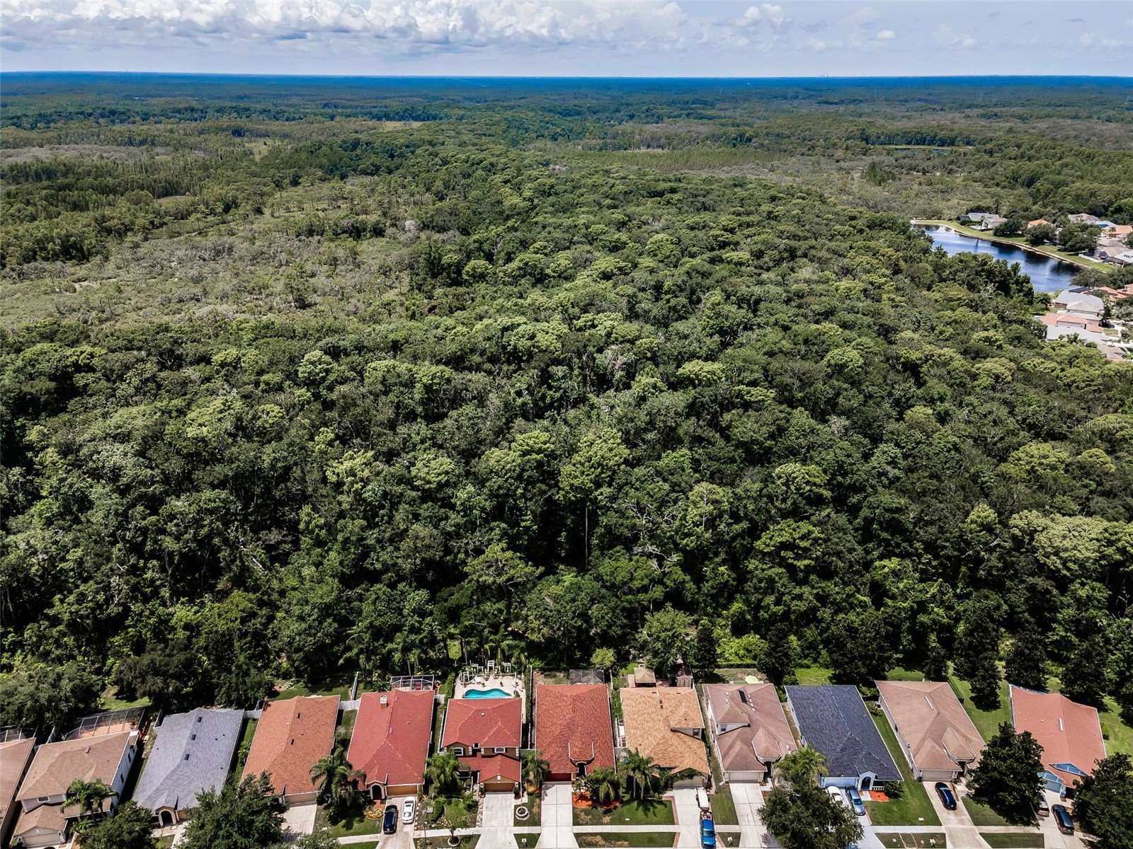 15762 Cedar Elm Terrace Land O Lakes FL 34638 TB8398219 image31