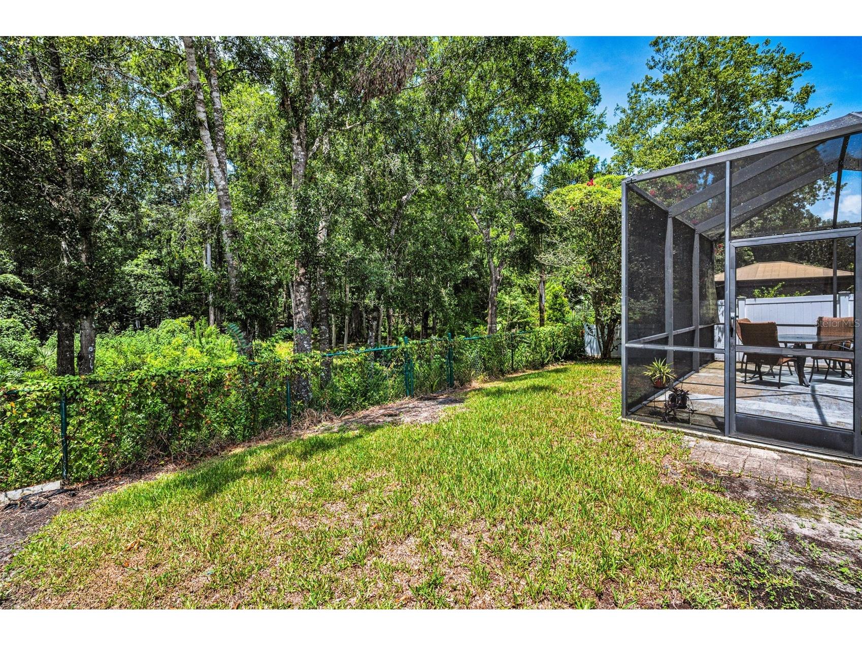 15762 Cedar Elm Terrace Land O Lakes FL 34638 TB8398219 image33