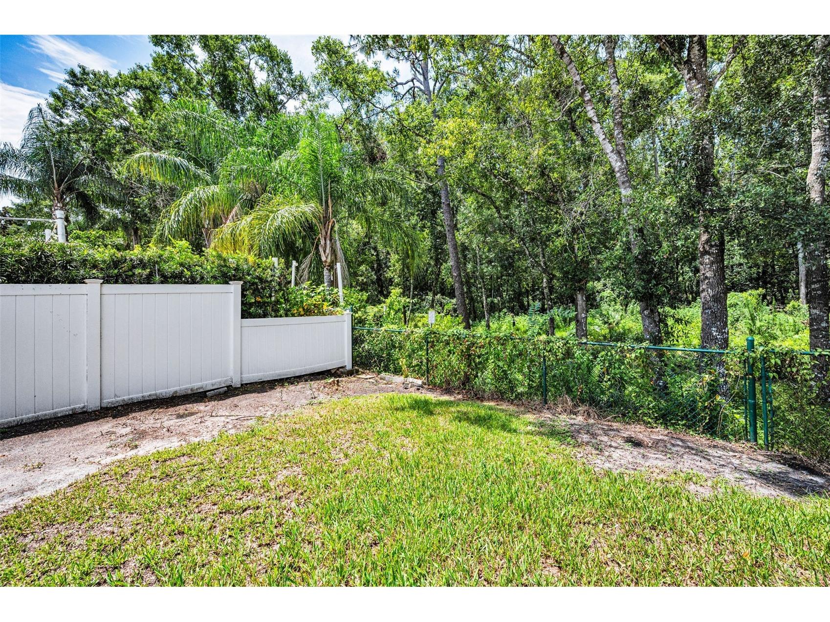 15762 Cedar Elm Terrace Land O Lakes FL 34638 TB8398219 image35