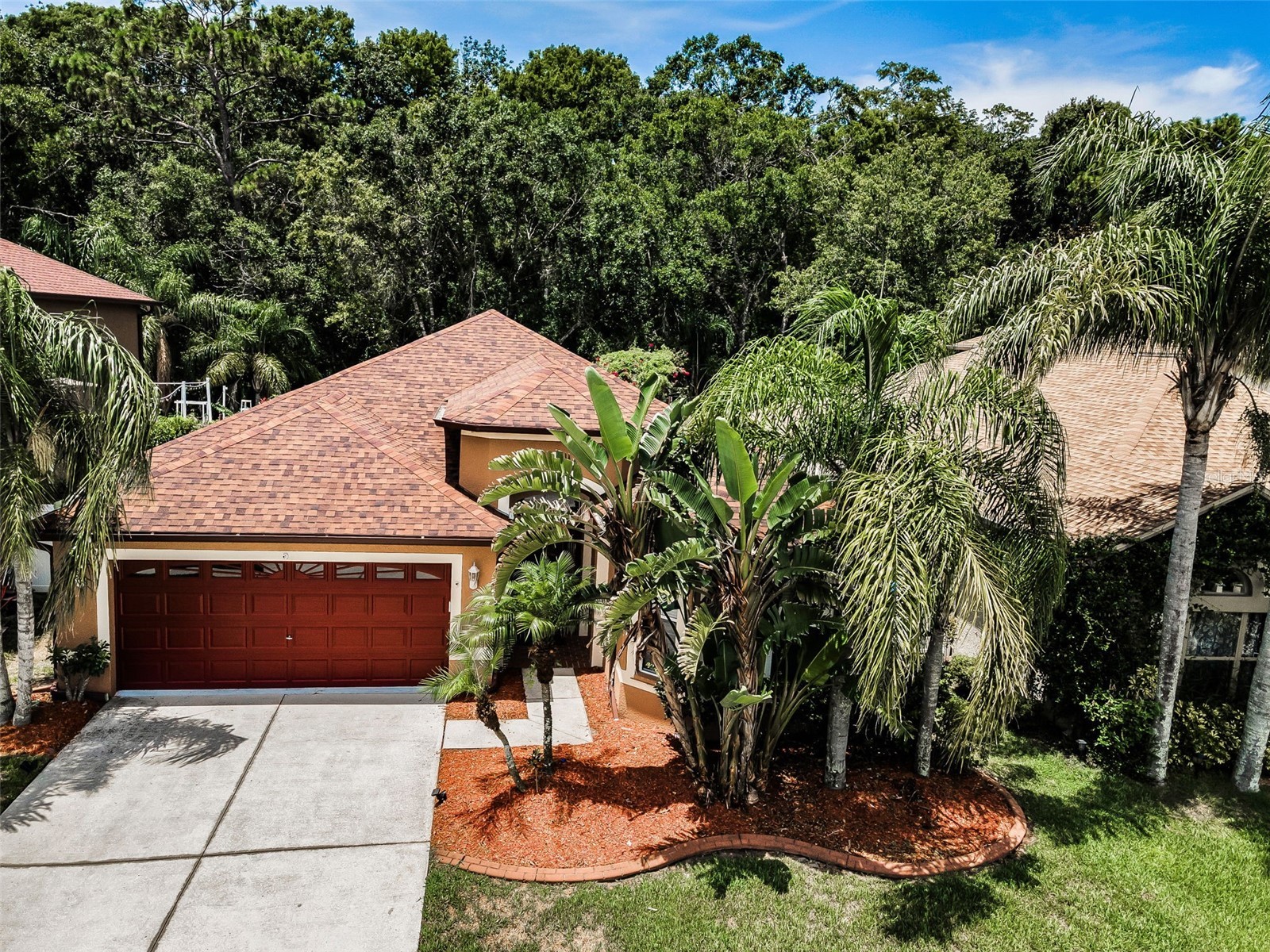 15762 Cedar Elm Terrace Land O Lakes FL 34638 TB8398219 image36