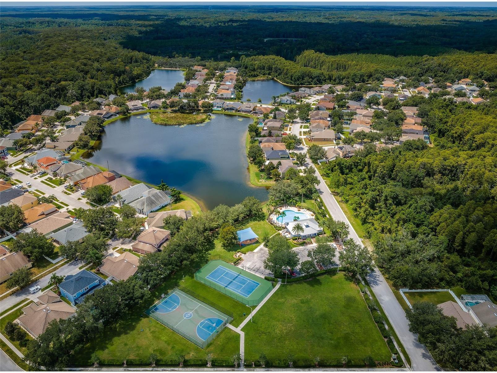 15762 Cedar Elm Terrace Land O Lakes FL 34638 TB8398219 image37