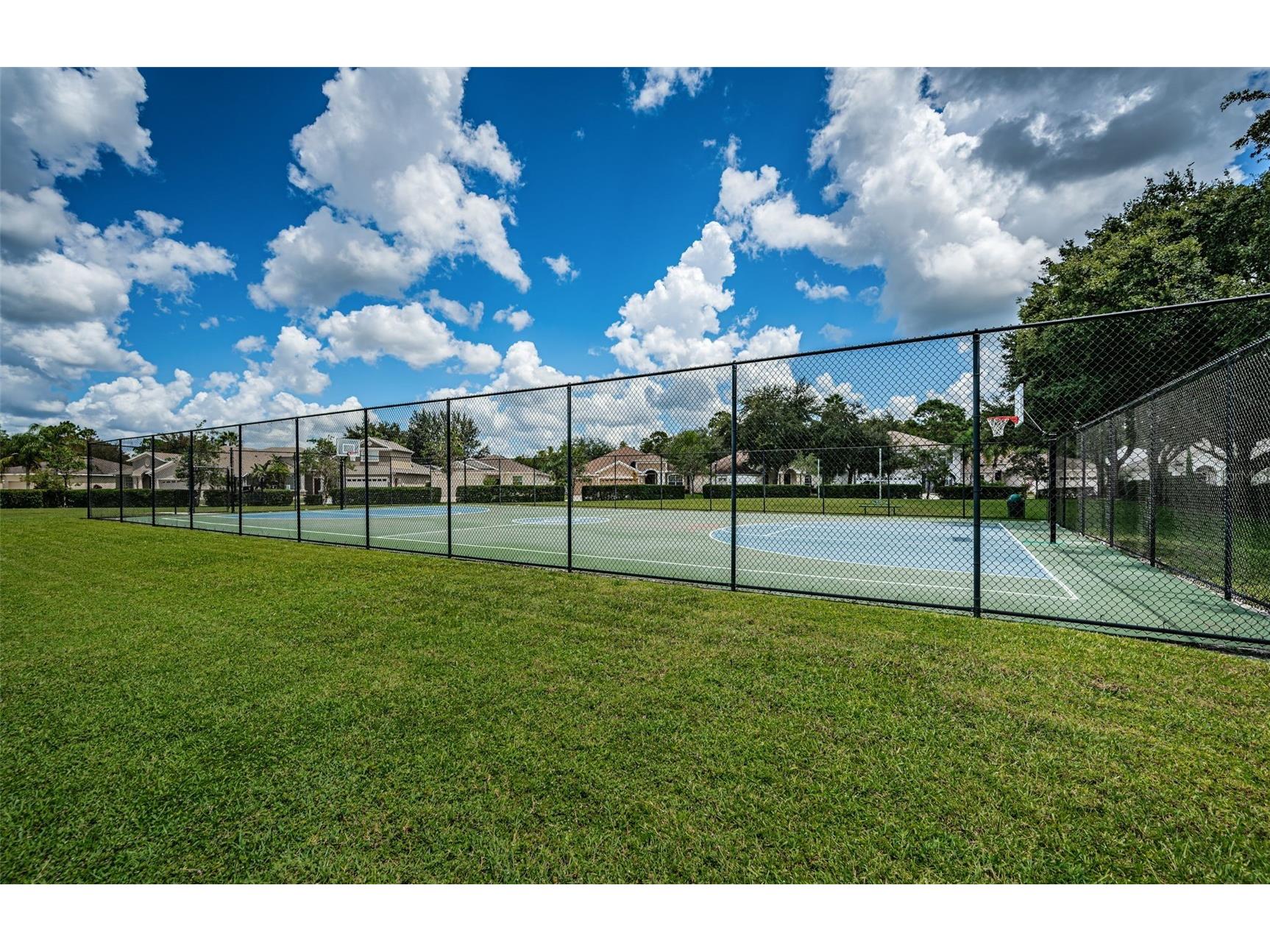 15762 Cedar Elm Terrace Land O Lakes FL 34638 TB8398219 image38