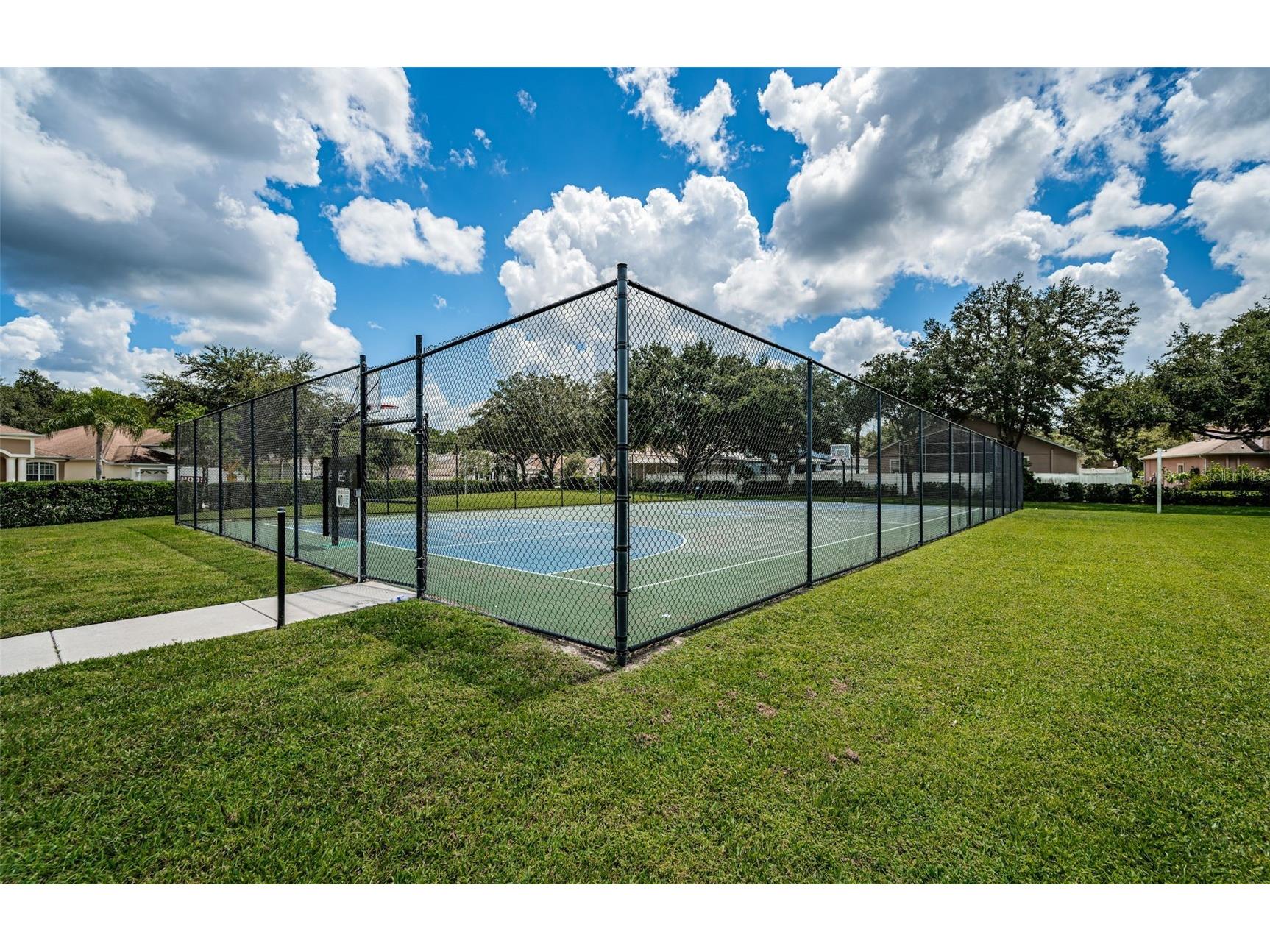 15762 Cedar Elm Terrace Land O Lakes FL 34638 TB8398219 image39