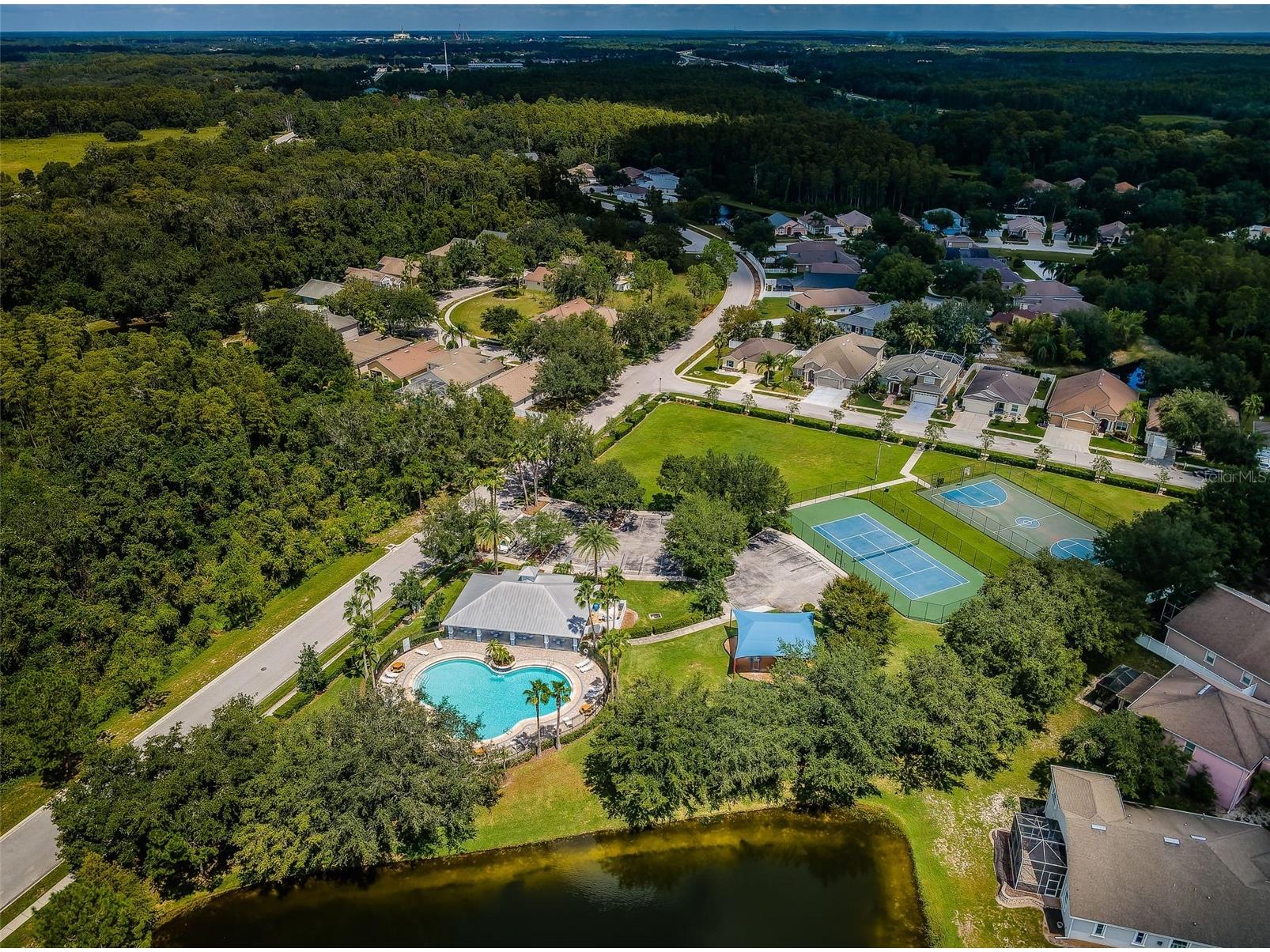 15762 Cedar Elm Terrace Land O Lakes FL 34638 TB8398219 image40