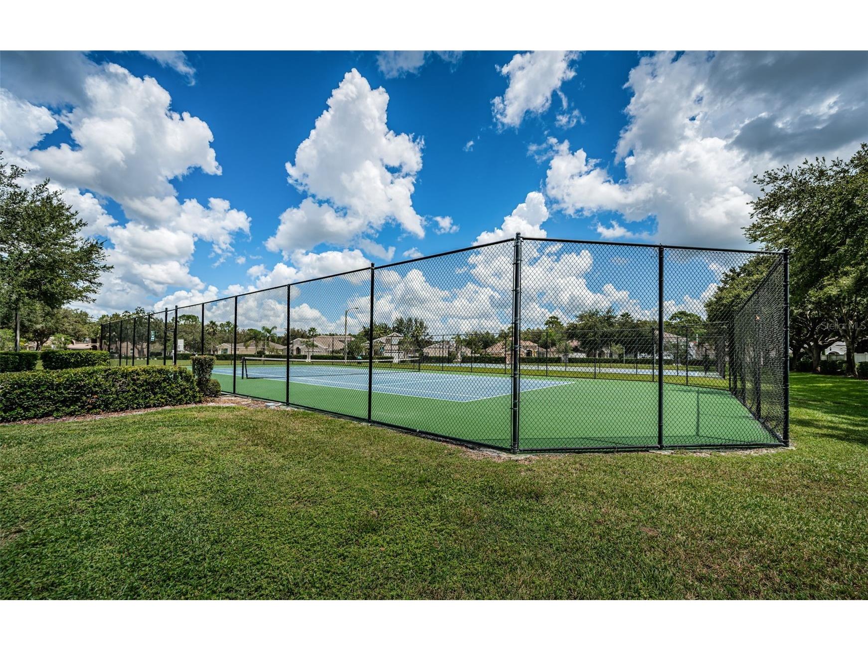 15762 Cedar Elm Terrace Land O Lakes FL 34638 TB8398219 image41