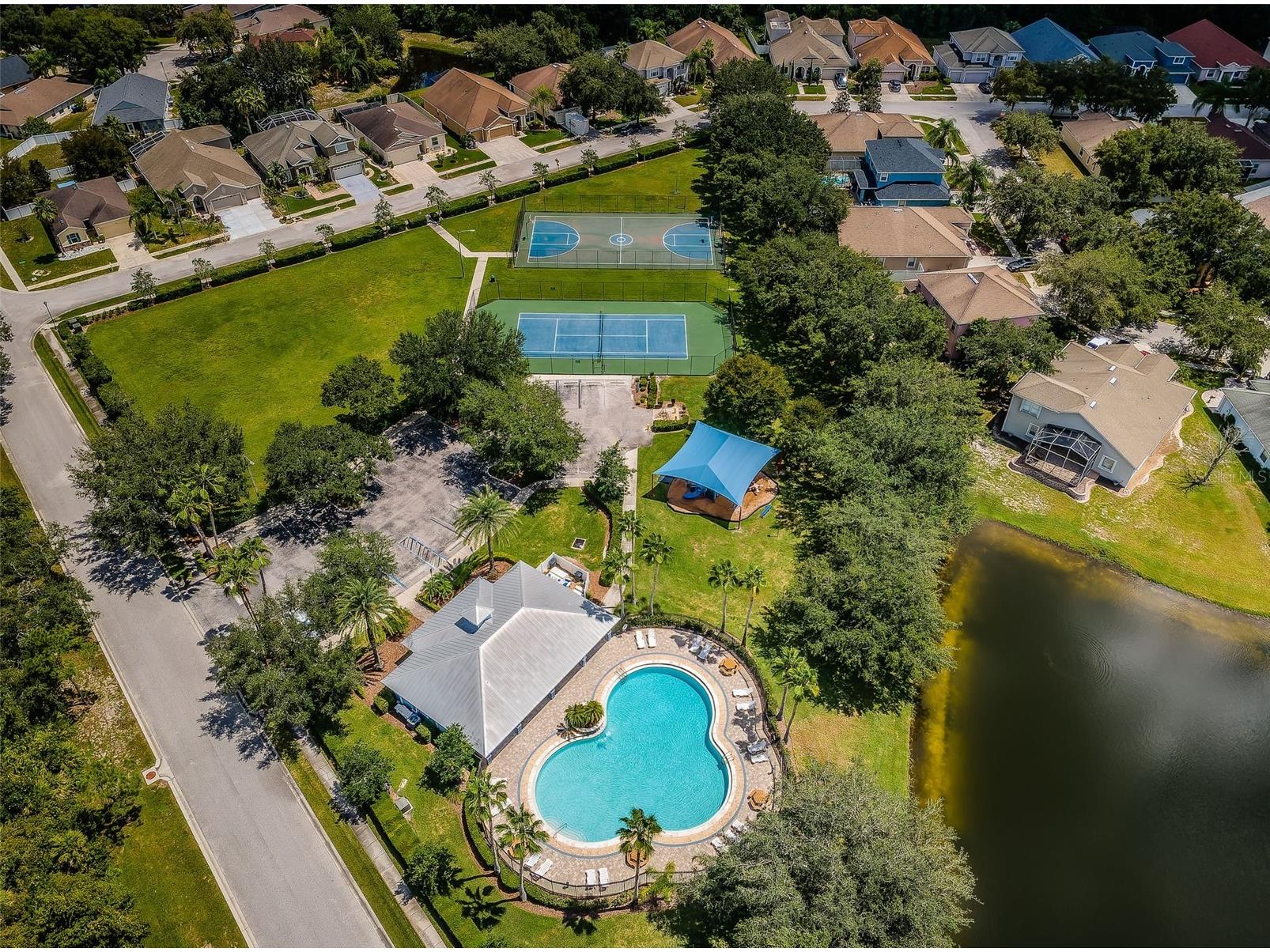 15762 Cedar Elm Terrace Land O Lakes FL 34638 TB8398219 image48